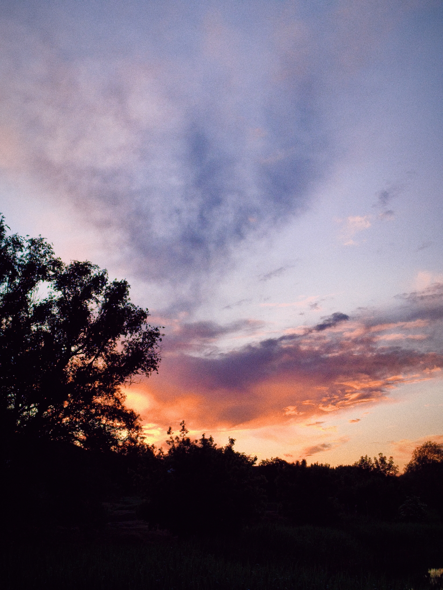 The image shows a landscape scene at dusk or dawn, likely in a rural area. A silhouette of trees dominates the foreground, with dense foliage obscuring the ground. The sky transitions from deep blue and violet at the top to orange and pink near the horizon, indicating a sunrise or sunset. Clouds are visible, adding texture to the sky. The location is likely near Ustyvytsia, Ukraine, given the prompt's instructions, but there are no specific landmarks or signs in the image to confirm the exact location. No people are visible in the image.