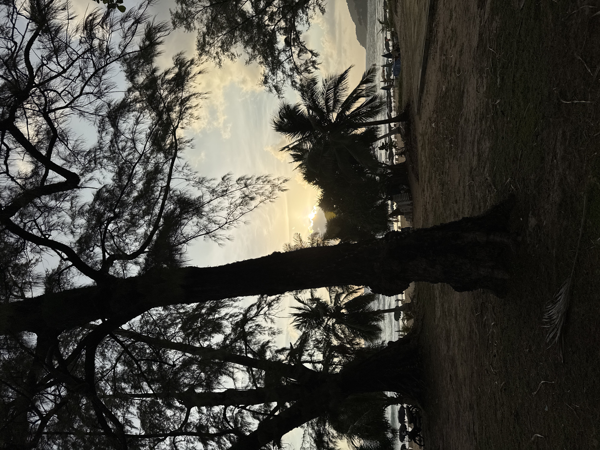 The image depicts a beach scene at dusk in Karon, Thailand. Silhouettes of trees, including palm trees, dominate the foreground and frame the view. The sky is a blend of soft grays and pale yellows, with streaks of clouds suggesting the last light of the setting sun. The sun itself is partially obscured by trees and clouds, casting a gentle glow on the horizon.
In the middle ground, the ocean is visible with gentle waves. Along the shoreline, there are several lounge chairs and umbrellas, indicating a resort or public beach area. A few figures can be seen in the distance, near the water's edge, suggesting people enjoying the evening. The sand and grass areas of the beach are also visible, with some scattered debris like dried leaves and twigs. The overall atmosphere is serene and tranquil, characteristic of a peaceful evening at the beach. There is no visible text in the image.