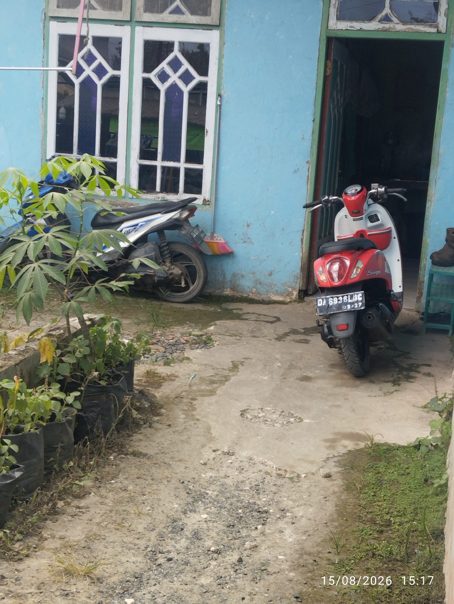The image depicts an outdoor scene in Tegal Rejo, Indonesia, focusing on a blue-painted building with a doorway and windows. In front of the building, two motorcycles are parked. The motorcycle closer to the doorway is red and white, with the license plate "DA 6936 LBC 03-27". The other motorcycle, partially obscured by plants, is white and blue. Several potted plants in black bags are arranged to the left of the motorcycles. The ground is a mix of concrete, gravel, and soil. The building's windows are framed in white with purple-tinted glass divided by a white grid pattern. The doorway is open, revealing a dark interior. A green plastic stool with dark-colored boots on it is visible to the right of the doorway. The timestamp "15/08/2026 15:17" is present in the bottom right corner of the image.