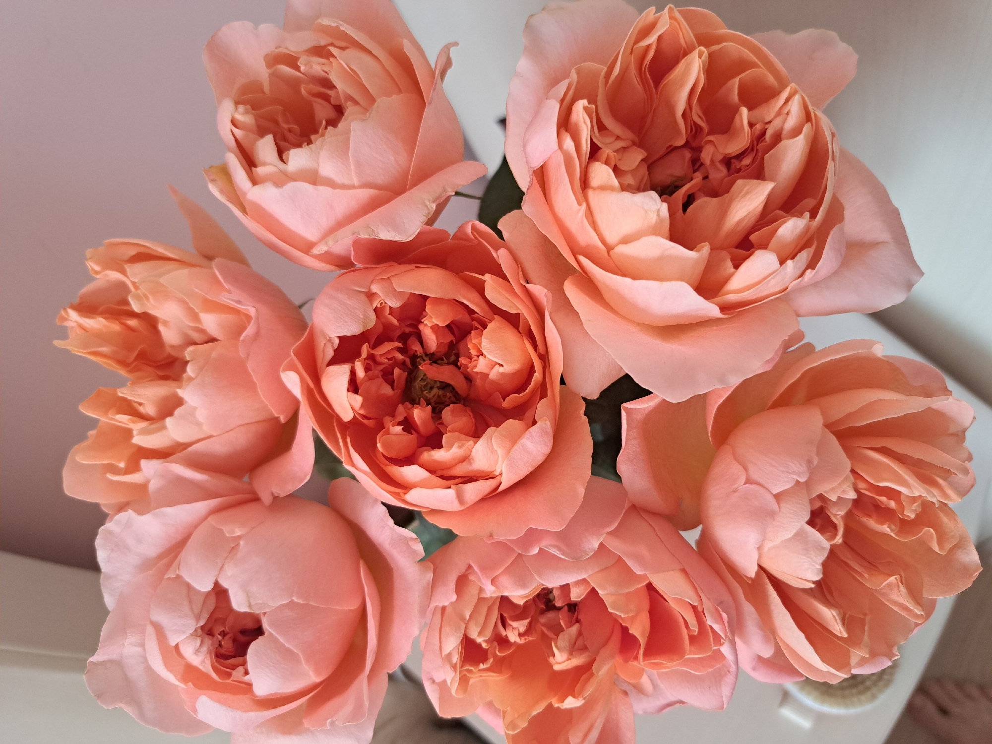 A bouquet of peach-colored roses is arranged in a vase, partially visible at the bottom left of the image. The roses are in various stages of bloom, with many showing intricate layers of petals. The background is a soft, pale pink and white, suggesting an indoor setting. The lighting is soft and diffused, casting gentle shadows. There is no indication of the city of Irkutsk, Russia, in this image.