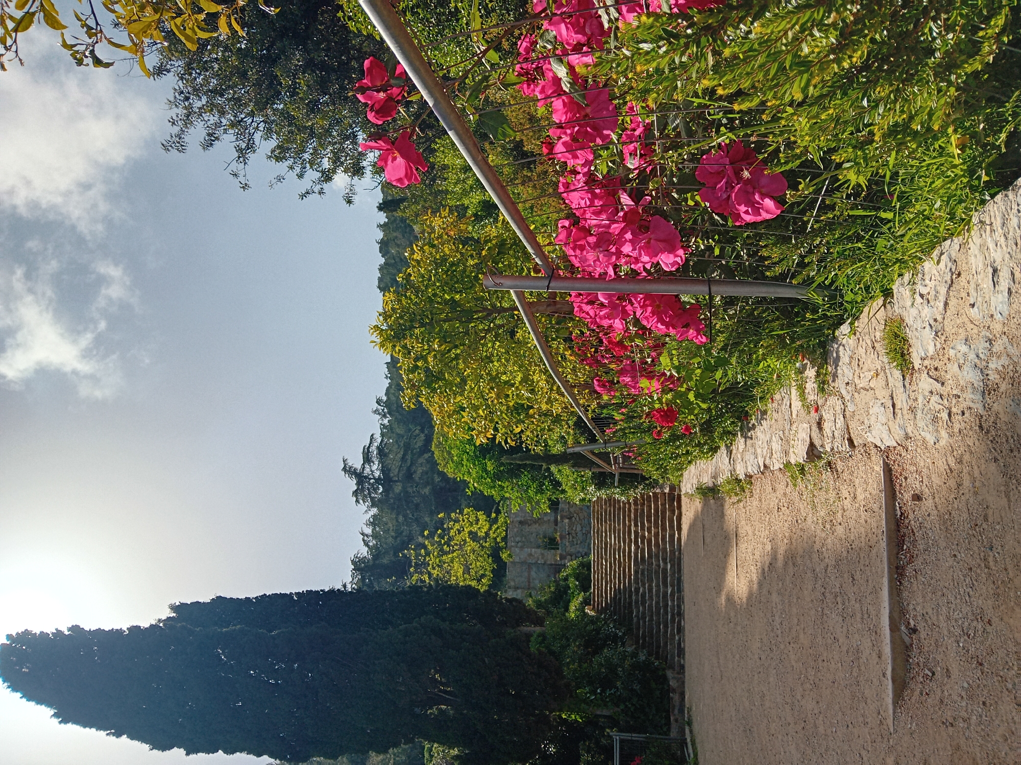 The image depicts a path in a garden setting, likely located in Barcelona, Spain. The path is lined with vegetation, including flowering bushes with vibrant pink blossoms. A metal railing runs alongside the path, possibly acting as a safety barrier. Stairs descend downwards into the distance. The sky is visible above the trees, with some clouds present. The sun is present. The overall scene suggests a peaceful and scenic environment.