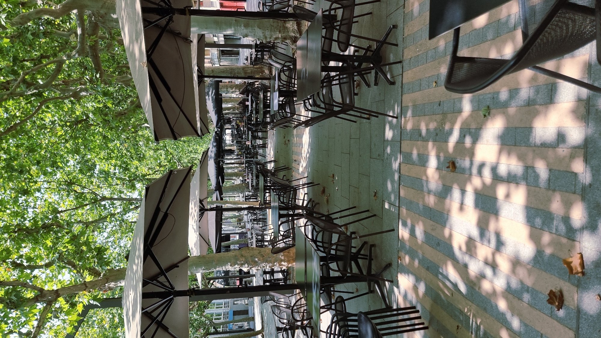 The image shows an outdoor seating area of a cafe or restaurant located in the city of Olot, Spain. The area is covered by large, neutral-colored umbrellas, providing shade. Rows of dark-colored tables and chairs are neatly arranged on a paved ground with a striped pattern of beige and gray tiles. Deciduous trees with lush green foliage form a canopy overhead, casting dappled shadows on the ground. Fallen leaves are scattered on the pavement. The background reveals the facade of buildings, suggesting an urban setting. No people are visible in the image, creating a sense of stillness. The scene is well-lit by natural daylight.