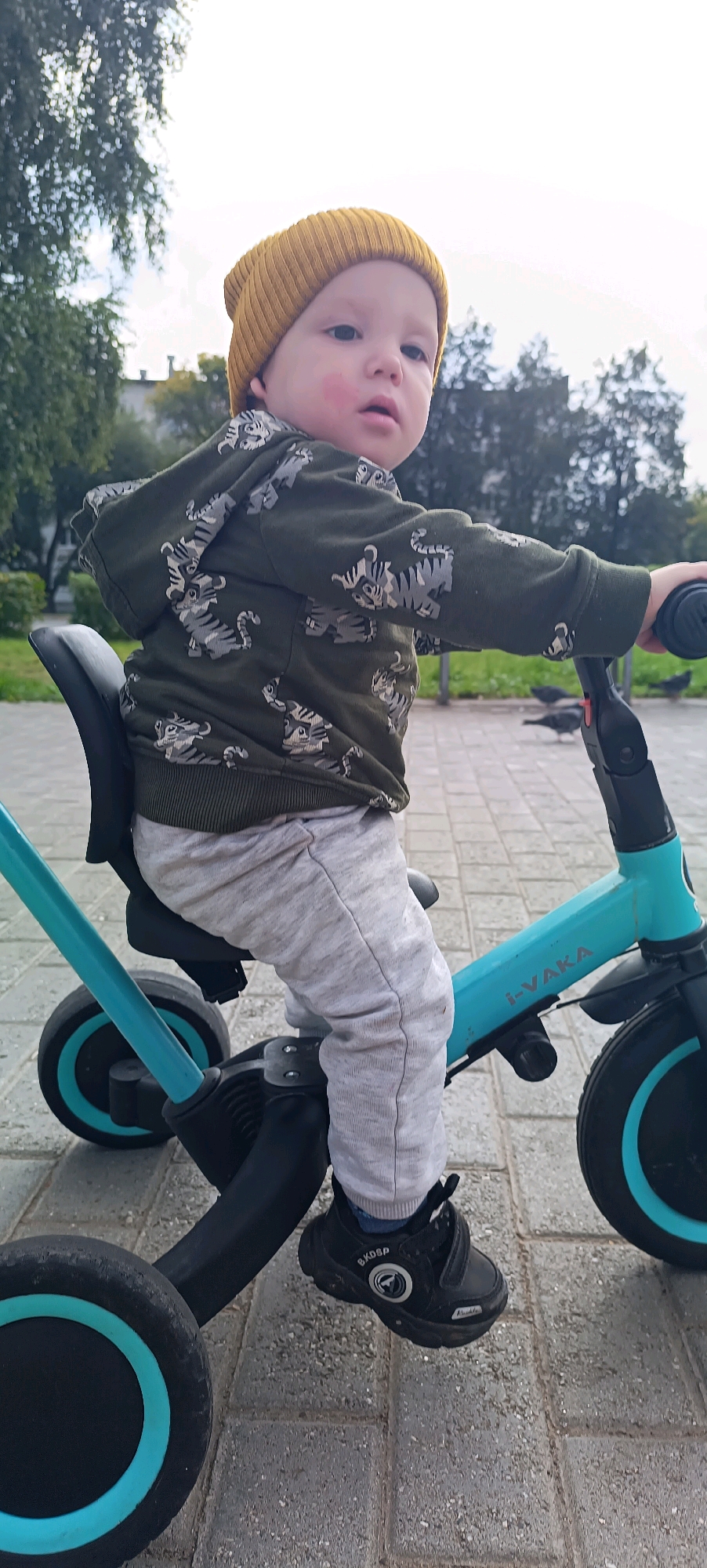 In Chaikovsky, Russia, a young child wearing a yellow beanie and a green hoodie with a tiger print is seated on a turquoise tricycle. The child is positioned on the tricycle's black seat, with their legs extended and feet wearing black sneakers. The tricycle has three wheels, two in the back and one in the front, and a black handlebar. The child's hands are near the handlebar. The scene is outdoors, with a paved surface composed of interlocking gray stones. In the background, trees with green foliage are visible, and a building can be seen to the left. The sky is overcast. The lighting suggests it is daytime, possibly late afternoon.