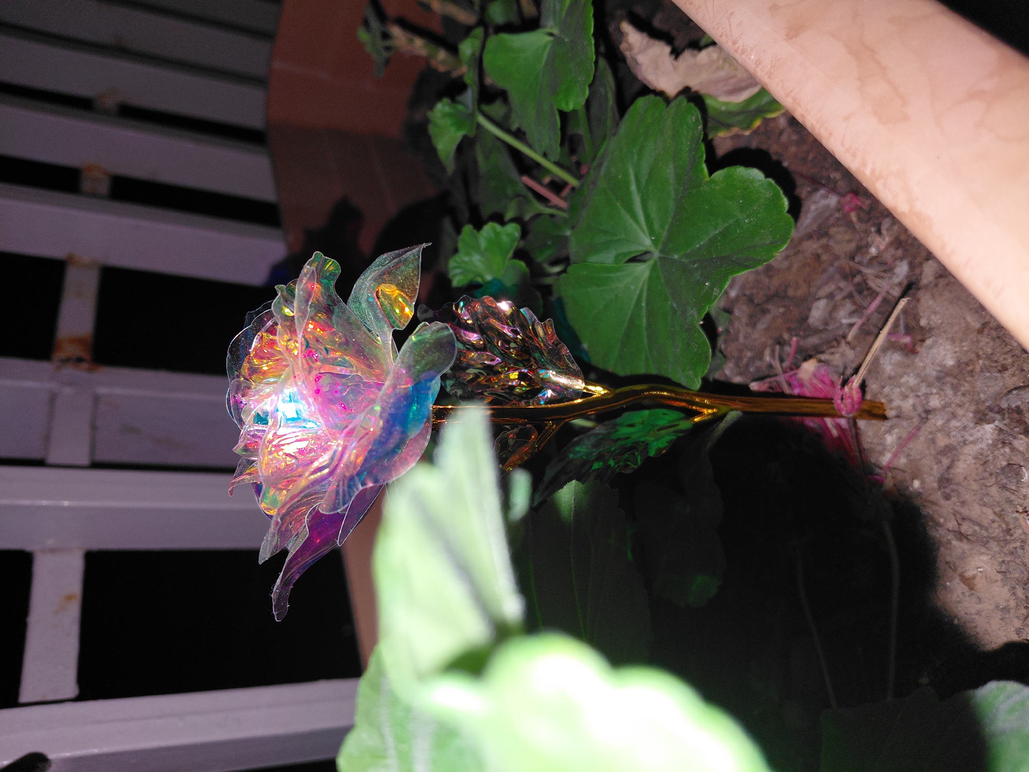The image depicts a close-up of an iridescent artificial rose placed in a planter. The rose has a golden stem and leaves, with petals that shimmer with various colors, including pink, blue, and green. It is surrounded by green foliage and sits in dark soil. In the background, there is a blurred white railing or fence and a dark, out-of-focus area. The overall setting appears to be outdoors, possibly a balcony or patio. There is no specific indication of the location within the Municipal Unit of Aegio, Greece.