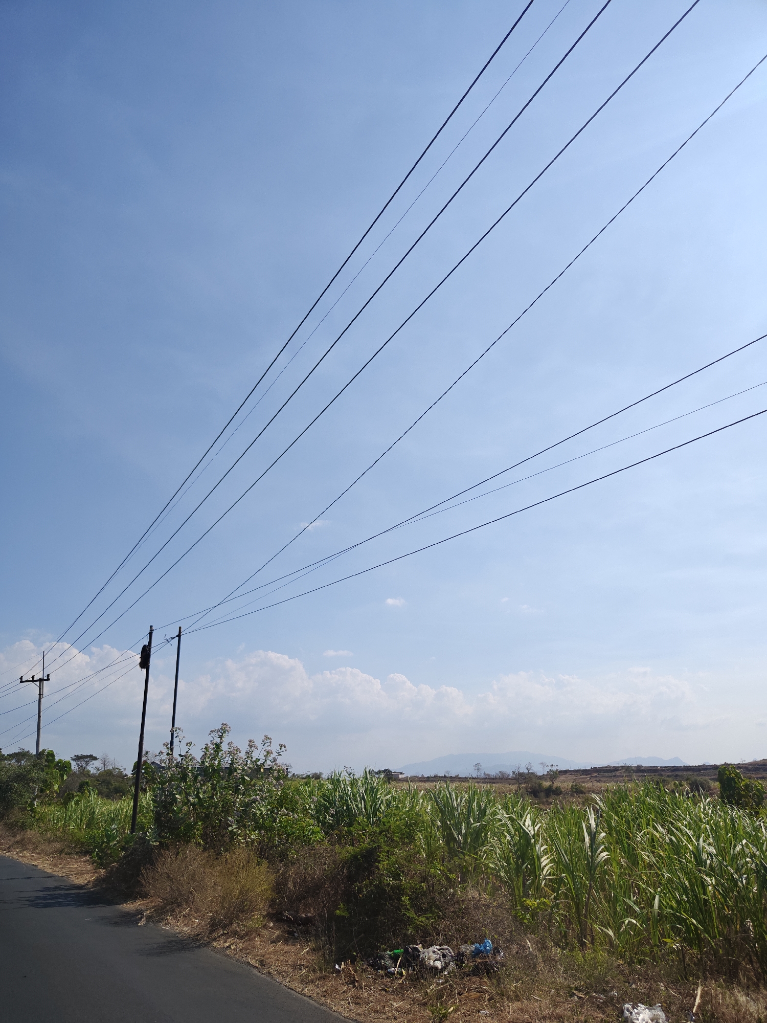 The image depicts a rural roadside scene in Klampokan, Indonesia, under a clear blue sky with scattered white clouds. A paved road runs along the left side of the frame. On the right side of the road, there is dense green vegetation, including what appears to be sugarcane, interspersed with dry brush and some scattered litter. In the background, beyond the fields, a range of distant hills or mountains is visible. Overhead, multiple power lines stretch across the sky, supported by utility poles visible on the left. One utility pole is closer to the foreground with a black fixture attached. The overall impression is one of a sunny, open landscape with evidence of rural infrastructure and agricultural activity.