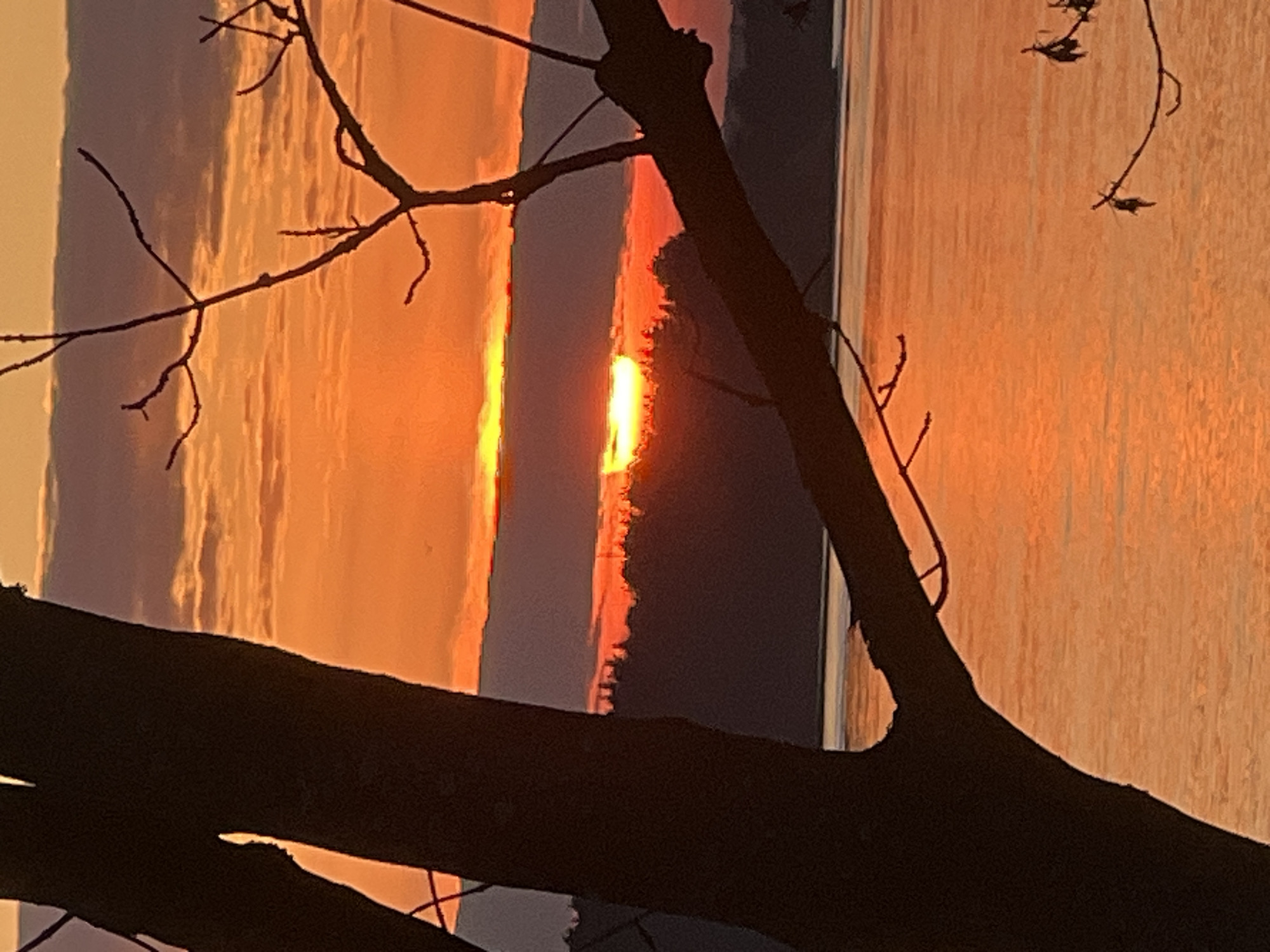 The image depicts a sunset scene, obscured by the branches of a tree. The sun is setting behind a line of trees or a distant landmass, creating a bright, orange glow. The sky is filled with orange and red hues, reflecting on the water. The tree branches in the foreground are silhouetted against the bright sky. The location is unknown and there is no evidence to suggest it is in Riga, Latvia. There are no people visible in the image.