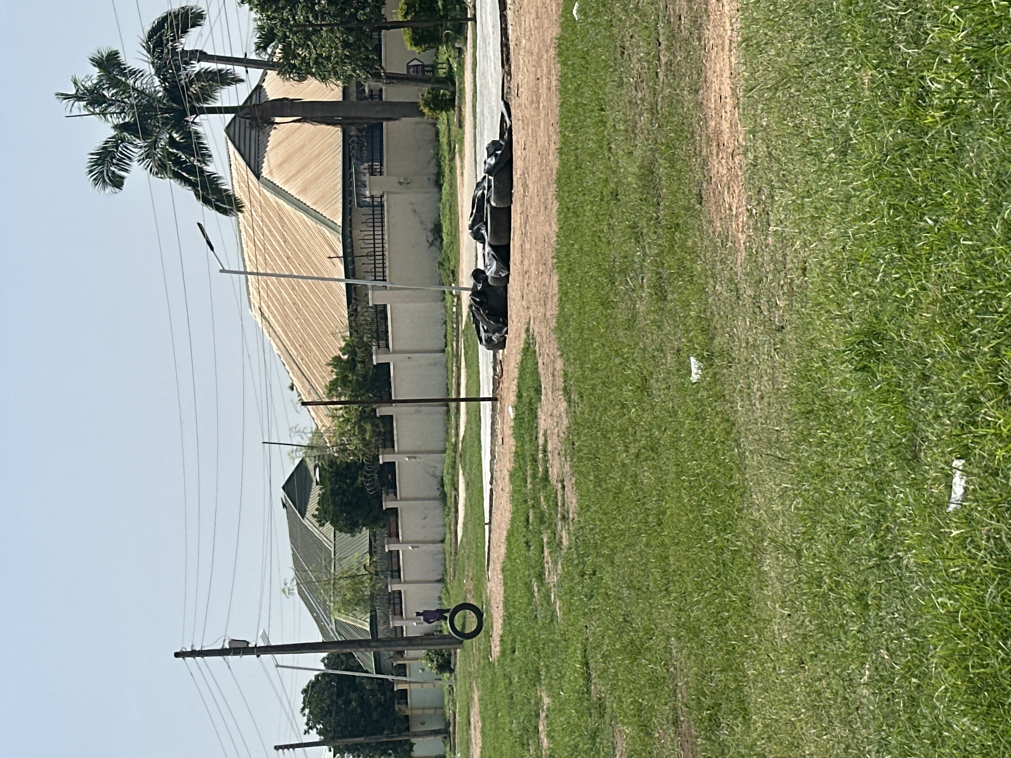 The image depicts an outdoor scene in Abuja, Nigeria. In the foreground, a patch of lush green grass is visible, with some dry, sandy patches interspersed. In the middle ground, a pile of black plastic-wrapped objects and tires lies on a dirt and asphalt surface. A single tire hangs from a pole on the left side of the image. A lone individual, wearing a purple shirt, stands near the hanging tire. Further in the background, a white concrete wall topped with metal spikes encloses a property with large, multi-pitched roofs. A palm tree stands prominently on the right side of the image. Utility poles with overhead wires are scattered throughout the scene, with a streetlamp also present. The sky is clear and bright, suggesting a sunny day.