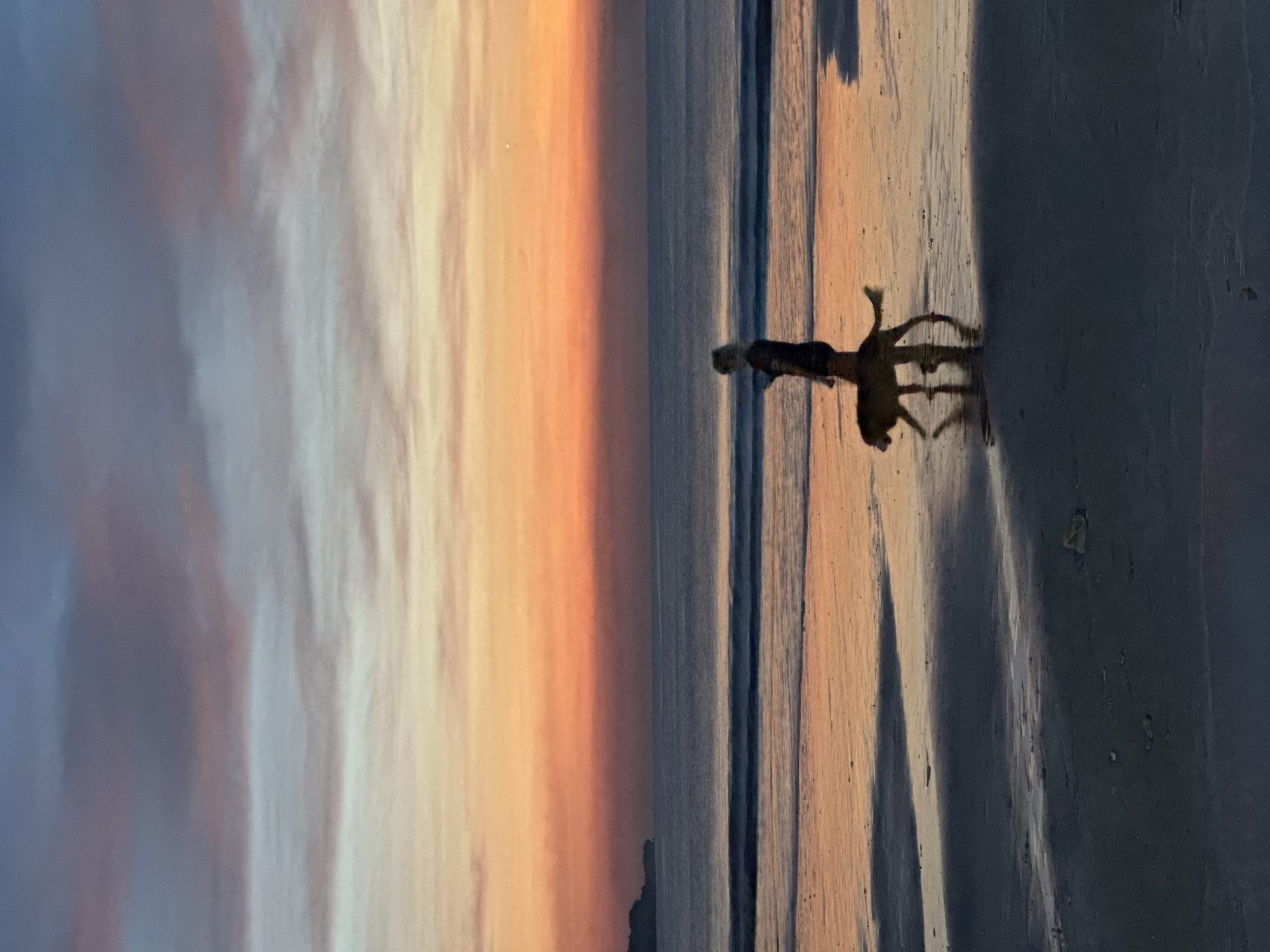 The image depicts a beach scene at sunset, likely in Kuta Selatan, Indonesia, given the prompt's specifications. A person walks with a dog along the shoreline. The setting sun casts long shadows of the person and the dog onto the sand. The sky exhibits a gradient of colors, from light blues and whites to oranges and reds near the horizon. The ocean appears calm with small waves. The overall scene suggests a tranquil moment at dusk.