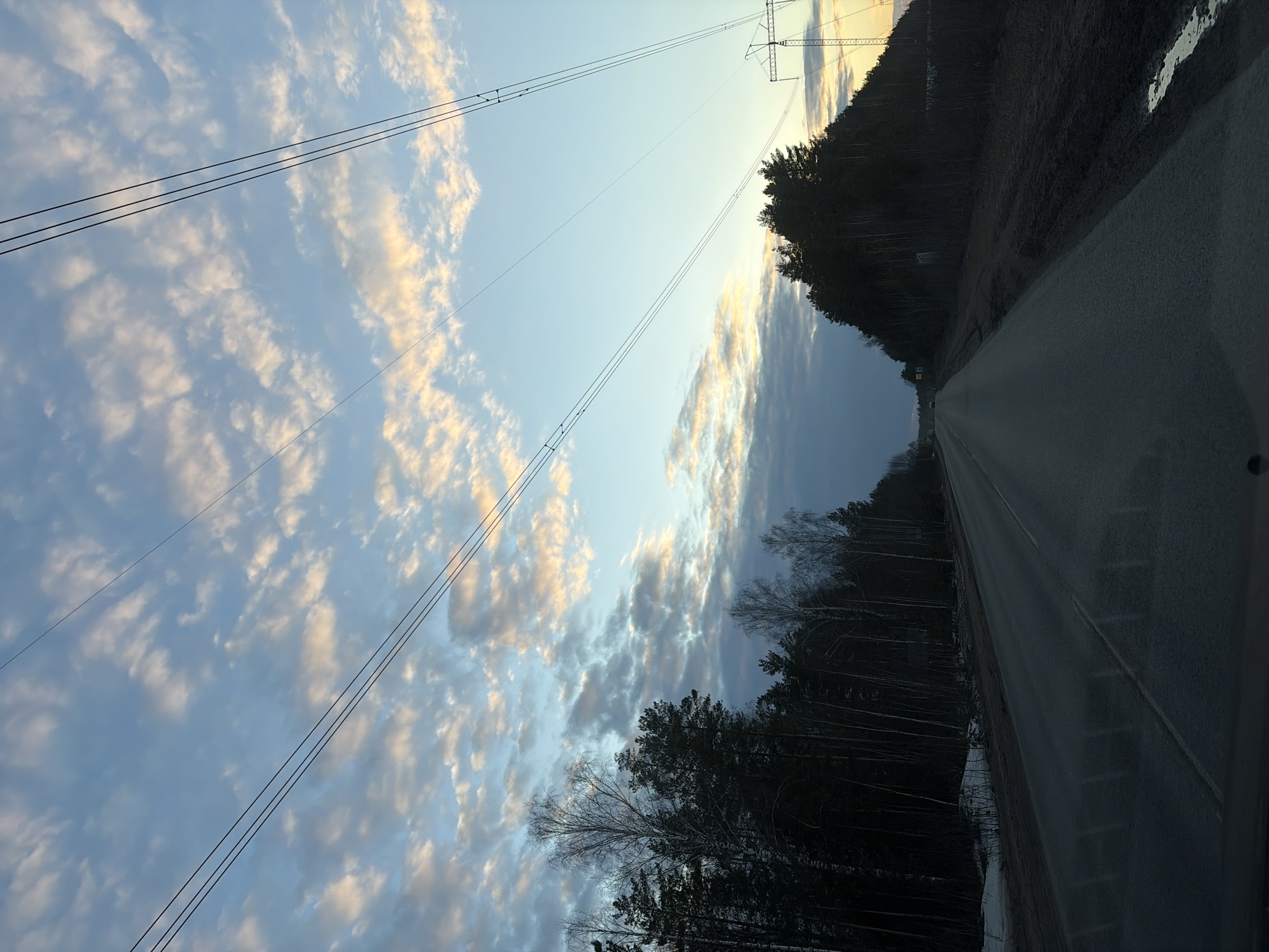 The image presents a view of a road in Noviy, Russia, flanked by a forest on one side. Overhead, power lines intersect the sky, which is filled with clouds exhibiting a transition from light blue to darker hues. The road's surface is visible and appears to stretch into the distance. The composition suggests the photo was taken from a vehicle, possibly a car, as part of the dashboard is visible.