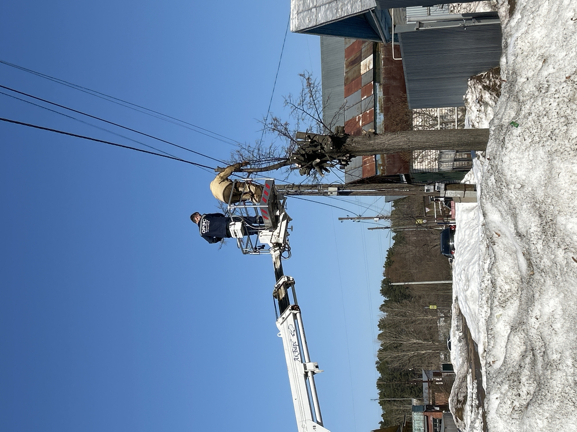 The image depicts two workers in the basket of a cherry picker in the city of Chaikovsky, Russia, pruning a tree near overhead power lines. One worker is in a tan harness, while the other wears a dark jacket with the Russian inscription “OPAC”. A building with corrugated metal siding stands to the right, alongside melting snow. In the background, there is a row of trees, utility poles, and a dark-colored vehicle. The sky is clear and blue. The cherry picker is white and has Russian text reading “AK-БАРС” on the side.