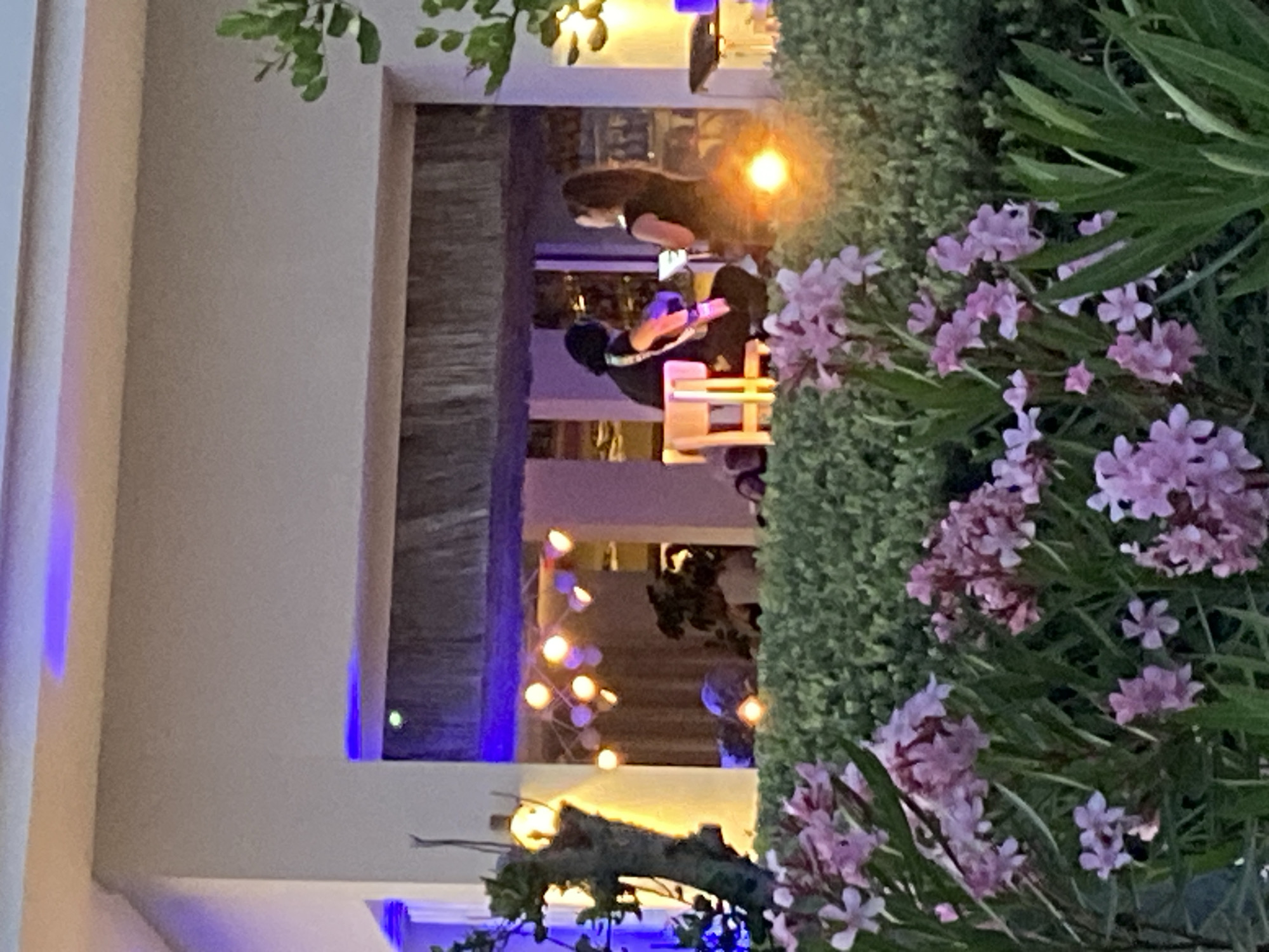 The image depicts an outdoor scene at dusk, likely in Estepona, Spain, featuring a live musical performance. In the foreground, vibrant pink oleander flowers are in bloom, set against a backdrop of lush green foliage. Through this greenery, a building with a covered patio is visible, illuminated by warm-toned string lights and recessed blue lighting along the ceiling.
On the patio, two individuals are engaged in a performance. A person with dark hair, wearing a black shirt and dark pants, is seated on a light-colored stool, playing a guitar. Facing them, a woman with dark hair, wearing a dark sleeveless top, stands and appears to be listening or perhaps singing along. Behind them, the interior of the establishment is visible, with more lights and hints of furniture. The overall ambiance suggests a relaxed evening setting. The light source in the mid-ground, possibly a spotlight or a particularly bright string light, is creating a strong lens flare effect.