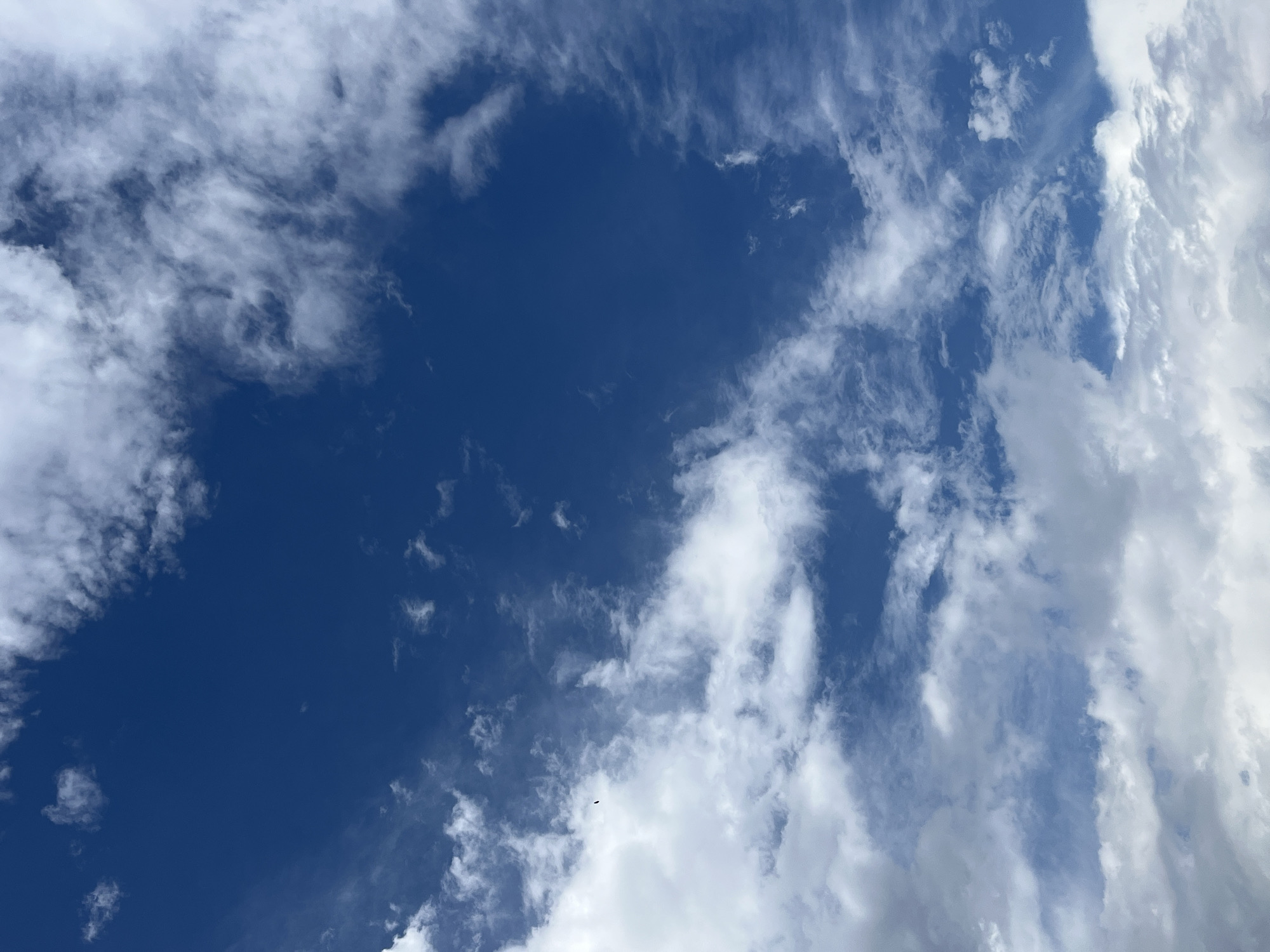 The image shows a vast expanse of a clear, deep blue sky. Scattered across the sky are various types of clouds. In the lower half of the image, there are large, fluffy, white cumulus clouds, with some appearing denser and brighter, suggesting they are closer and possibly thicker. Above these, and filling the upper portion of the frame, are thinner, wispy clouds that are more translucent, allowing more of the blue sky to show through. These appear to be cirrus or cirrostratus clouds, stretching across the sky in streaks and delicate formations. In the middle-left of the frame, a small, dark silhouette is visible against the sky, which appears to be a bird in flight. The lighting suggests it is daytime, likely mid-morning or afternoon, with the sun high in the sky, illuminating the clouds from above. The image is an outdoor scene, captured from a ground-level perspective looking upwards. The environment is solely the sky. There are no visible buildings, geographical features, or any indication of the city of Krasnyye Barrikady, Russia.