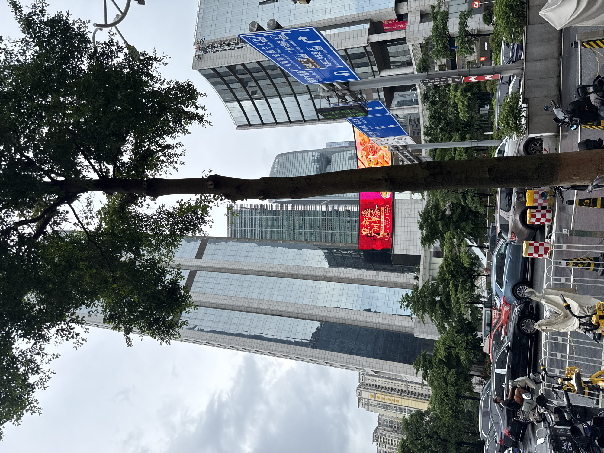 The image captures a street scene in Tianhe District, China, likely during the daytime with overcast skies. A large tree with dense foliage partially obscures the view of modern high-rise buildings made of glass and concrete. These buildings suggest an urban commercial or financial district.
Parked cars and several electric scooters are visible along the roadside, indicating traffic and urban transportation. Some of the scooters are covered, possibly due to weather or for storage. Barriers and traffic signs are also present, common elements of a city street.
Several signs with Chinese text are visible. One prominent blue sign displays directions, including parking symbols. Another sign, a red digital billboard, shows food imagery, possibly advertising a restaurant or a food-related event. The text "点都德 广州早茶" suggests a famous dim sum restaurant chain. Another sign reads "xiaomi," indicating the presence of a Xiaomi store or a product advertisement.
The overall impression is a bustling urban environment with a blend of modern architecture, greenery, and commercial activity. The cloudy sky suggests a possibly humid or cool day, typical for the region. There are no clear indications of specific people engaging in distinct activities, beyond their presence as part of the urban landscape, such as the person on the scooter. The scene is static, portraying a moment in the life of the city.