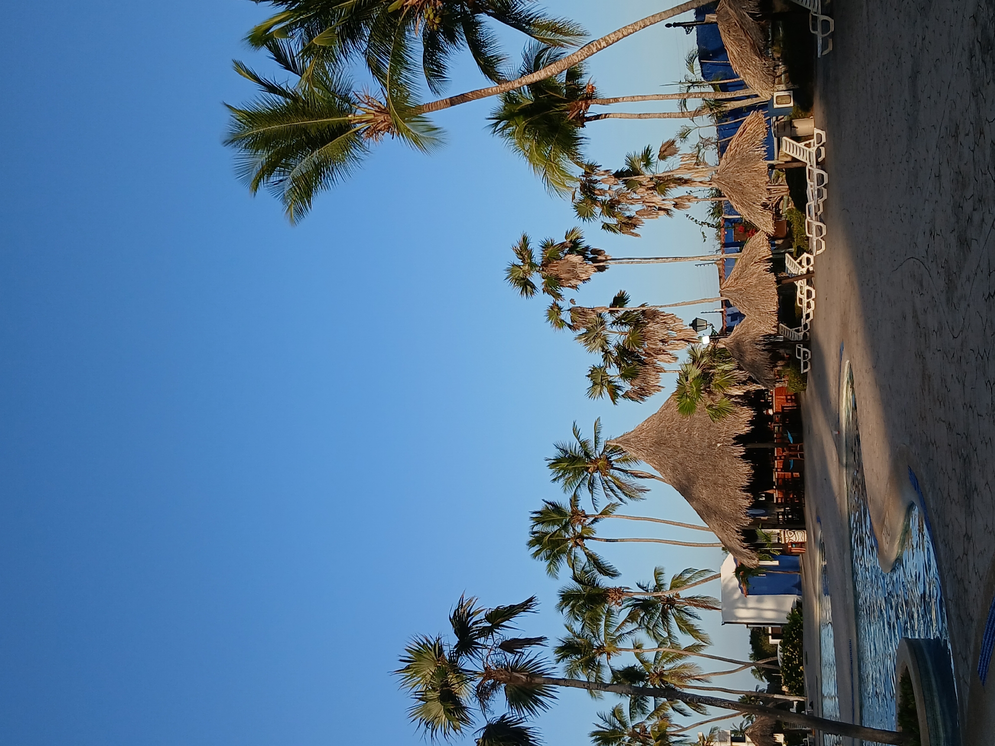 The image shows a daytime view of Playa El Agua, Venezuela. The sky is clear and blue. A row of palm trees lines the shoreline. Beach umbrellas with thatched roofs, along with white lounge chairs, are visible on the beach. A building is partially visible in the background. A pool of water with blue accents lies near the building.