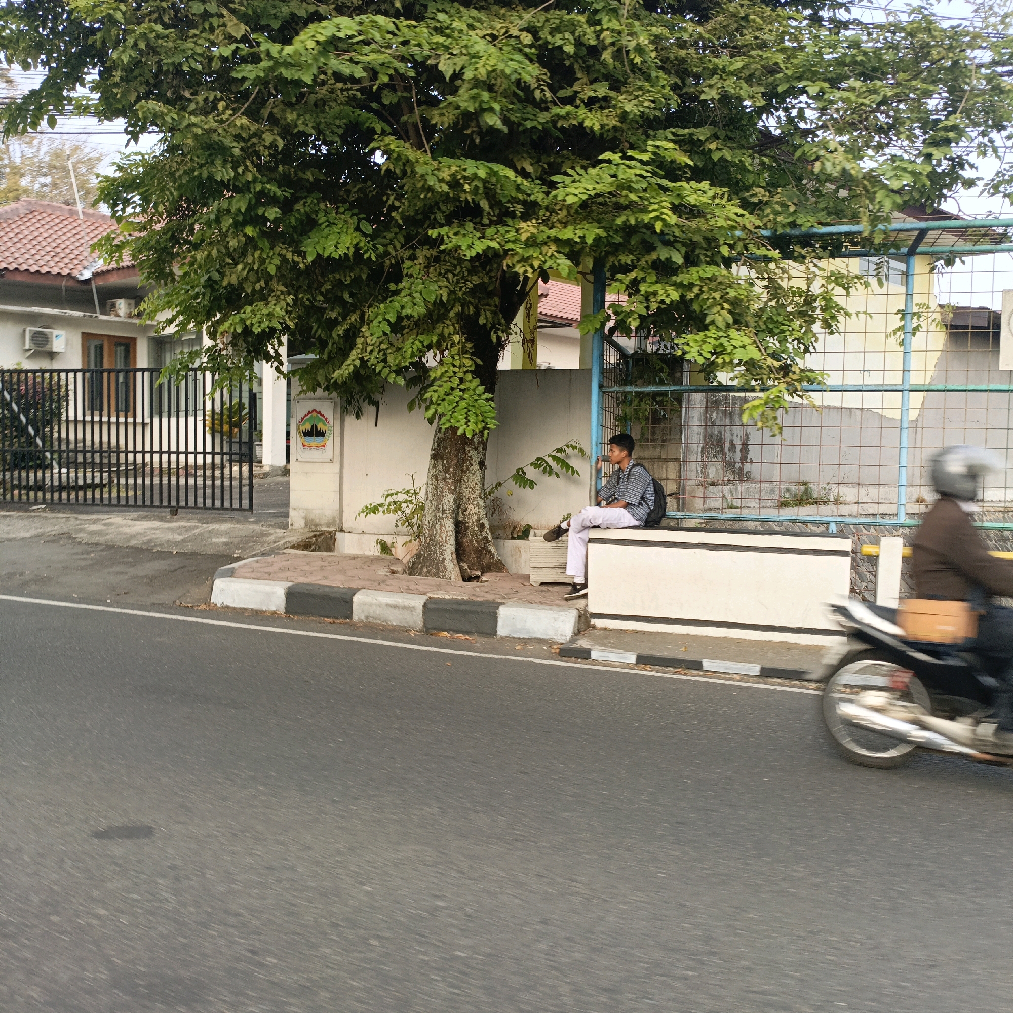 This image depicts a street scene in Salatiga, Indonesia. In the foreground, a paved road exhibits motion blur, indicating a moving viewpoint, possibly from another vehicle. To the right, a motorcycle, also blurred by motion, is traveling on the road. The rider is wearing a helmet and a brown jacket, with a brown bag attached to the back of the motorcycle.
Adjacent to the road, there is a sidewalk area with a decorative curb featuring black and white stripes. Behind the curb, a low, light-colored concrete wall runs horizontally. A young person, wearing a plaid shirt and light-colored pants, is seated on this wall, facing right, with a backpack to their left. They appear to be looking towards the right side of the frame.
Dominating the midground is a large tree with dense green foliage, casting shade. Behind the tree and wall, a building with a reddish-tiled roof is visible. A black metal gate, part of a fence, is positioned to the left of the tree, suggesting it might be an entrance to a property. Further in the background, a yellow building with a checkered fence structure is partially visible. The overall setting appears to be a daytime urban environment, likely on a street with moderate pedestrian and vehicular activity, given the presence of the seated individual and the passing motorcycle.