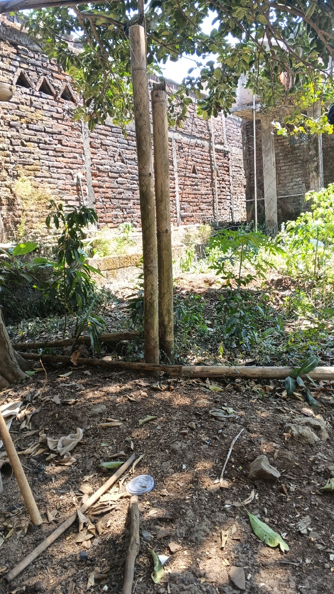 The image depicts an outdoor scene in Karangjati, Indonesia, characterized by a dense, sun-dappled ground covered in dry leaves, twigs, and scattered debris, including a clear plastic cup lid. A brick wall, weathered and showing signs of age, forms the backdrop. Two large, cylindrical bamboo poles stand vertically in the center of the frame, partially covered by a wire mesh, suggesting a constructed element or support. Lush green foliage from trees and smaller plants grows around and behind the bamboo poles, with some branches extending into the upper portion of the image. The lighting suggests it is daytime, with strong shadows cast across the ground, indicating a sunny environment. The overall impression is one of an overgrown, somewhat neglected outdoor space.