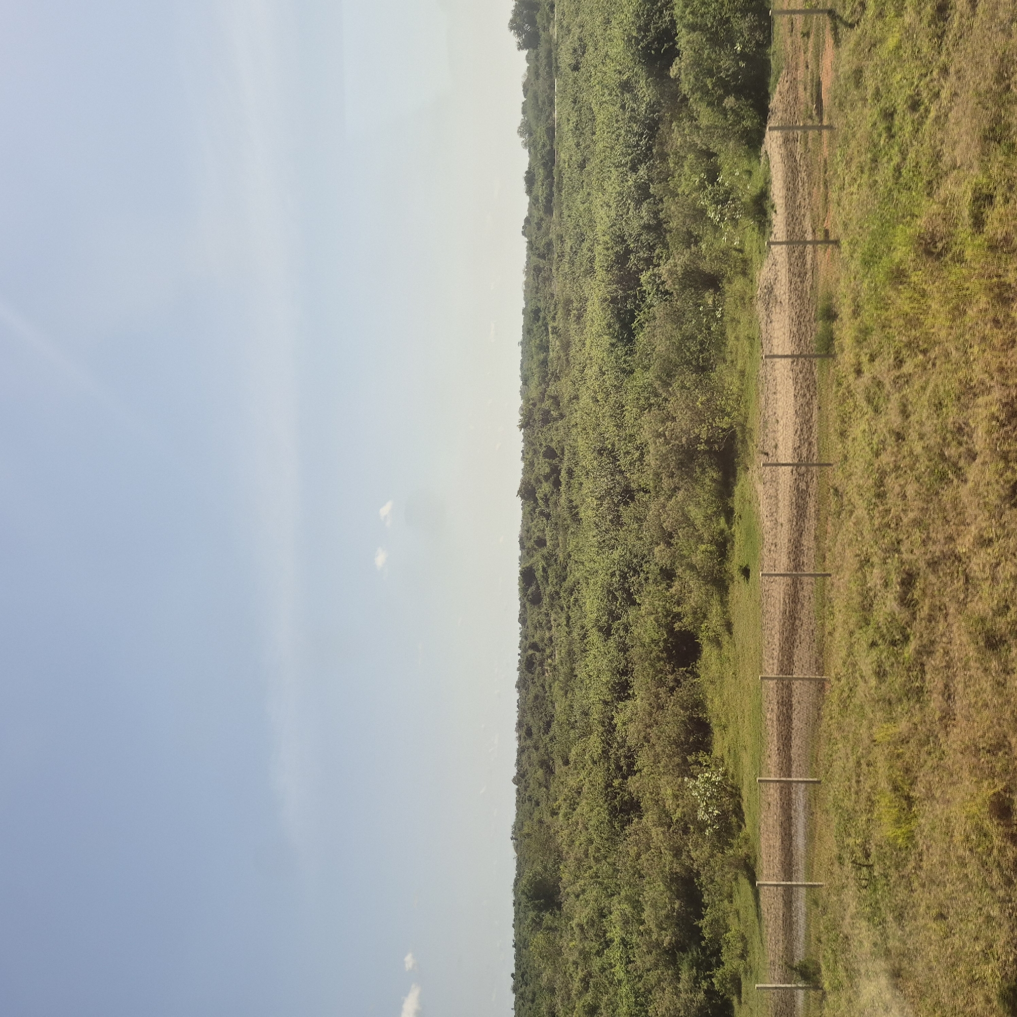 The image shows a vast, dense expanse of green vegetation under a clear blue sky with a few wispy clouds. In the foreground, a dry, dusty path or track runs horizontally, bordered by a simple fence made of wooden posts. The vegetation appears to be a mix of bushes and trees, with a slightly higher density in the background, creating a textured horizon. The overall impression is of a rural or undeveloped area. The provided location of Minazi Mikinda, Tanzania, suggests this scene is likely depicting a natural or semi-natural landscape within that region.