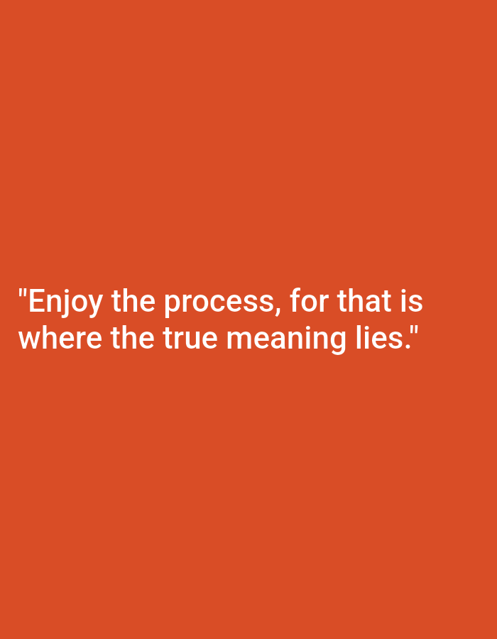 A quote is displayed in white text on an orange background. The quote reads, "Enjoy the process, for that is where the true meaning lies." The text is centered on the orange background.