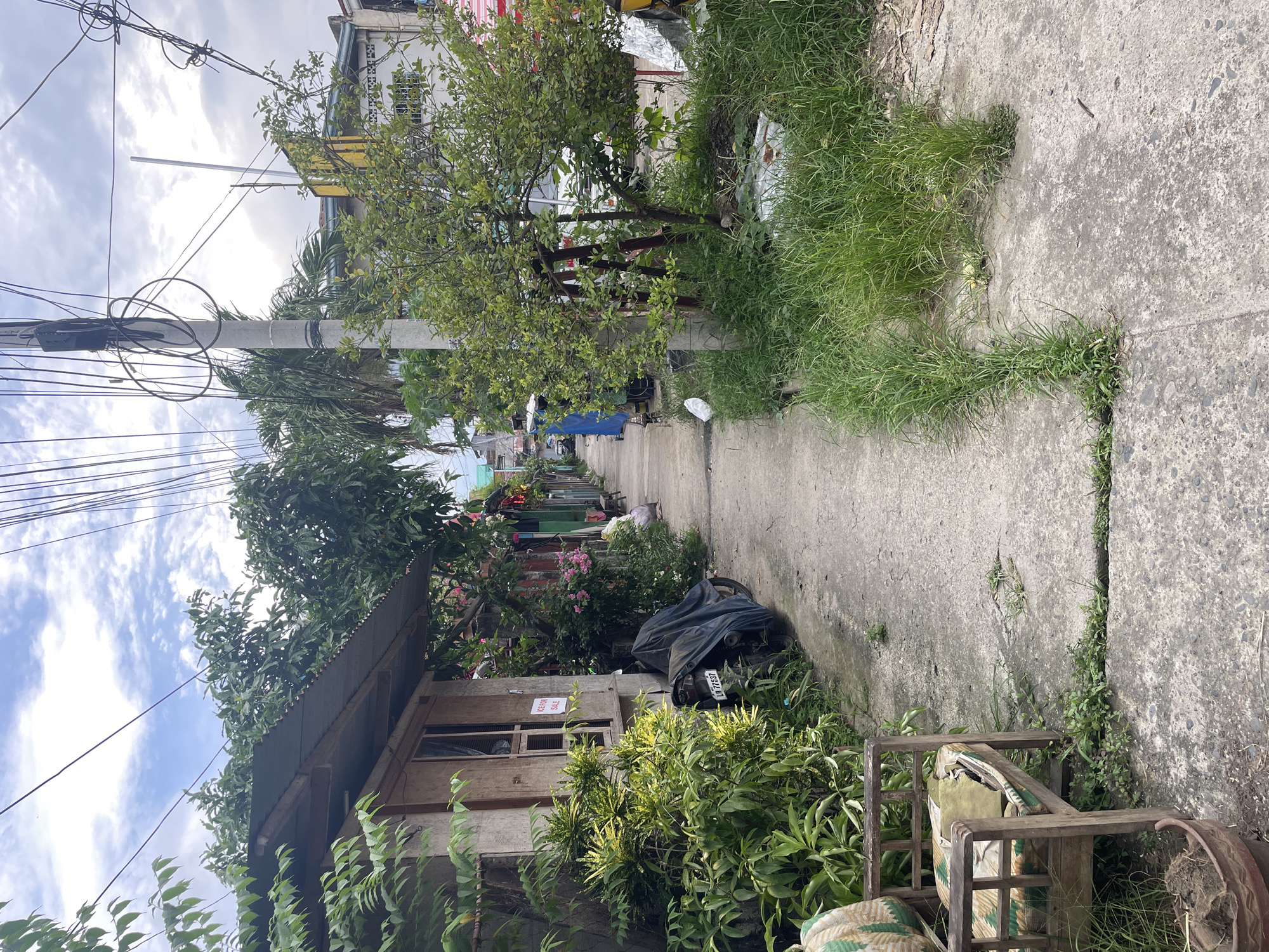 The image captures a narrow, concrete pathway or alleyway, stretching into the distance and flanked by buildings and lush vegetation. The perspective is looking down the path, which appears somewhat unkempt with grass and weeds growing through cracks and along its edges.
On both sides of the path are residential structures. On the left, a modest house with a corrugated metal roof and wooden walls is visible, featuring a window and dense green foliage around it. A white sign reading "FOR SALE" vertically is attached to this house. On the right, further down the path, another building is partially seen, and closer to the foreground, a motorcycle covered with a black tarp is parked amidst overgrown grass. A partial license plate, "LYY F1537", is visible on the motorcycle. In the immediate foreground on the right, there's a wooden chair frame or similar furniture with patterned fabric.
The area is abundant with various plants, including trees, bushes, and flowering shrubs with pink blossoms. Overhead, numerous black utility wires crisscross against a partly cloudy sky, supported by prominent concrete utility poles. Several white plastic bags are scattered along the path and in the grassy areas, indicating some litter. The scene is brightly lit, suggesting daytime, and the sky is a mix of white clouds and brighter patches. The dense foliage, utility infrastructure, and housing style suggest a residential area in a warm climate, possibly Southeast Asia. No people are visible, and the scene is static.