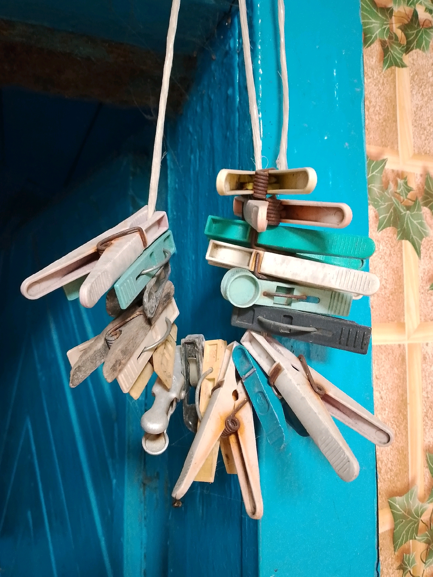 A cluster of clothespins hangs from a string against a bright blue wooden door. The clothespins are a mix of plastic and possibly wood, in various colors including white, light blue, green, and beige. They are all attached to the string in a jumbled fashion, with some overlapping and others hanging loosely. A fine layer of dust or cobwebs is visible on the string and some of the clothespins. To the right of the door, a beige wall with a repeating pattern of green leaf motifs is visible, suggesting an outdoor or semi-outdoor setting. The image appears to be taken at eye level, with a shallow depth of field that blurs the background and focuses on the clothespins. The lighting is natural, casting soft shadows. No people are present in the frame. The scene is static and depicts a common household item in a somewhat disorganized arrangement. The location is identified as Leninski Sel'ski Sovet, Belarus.