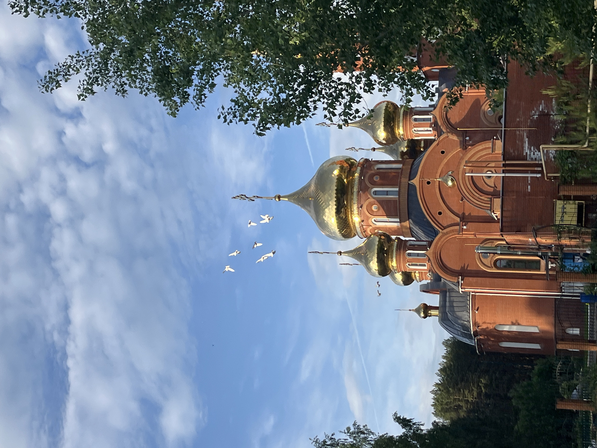 A low-angle shot depicts a building with multiple gold domes on a clear day in Chaikovsky, Russia. The building, constructed from red brick, features windows, arches, and various architectural embellishments. The scene is framed by foliage, including tree branches with green leaves at the top and bottom, giving a sense of depth. In the sky, a flock of white birds is flying near the central golden dome, adding a sense of movement. Light clouds are scattered across the blue sky.