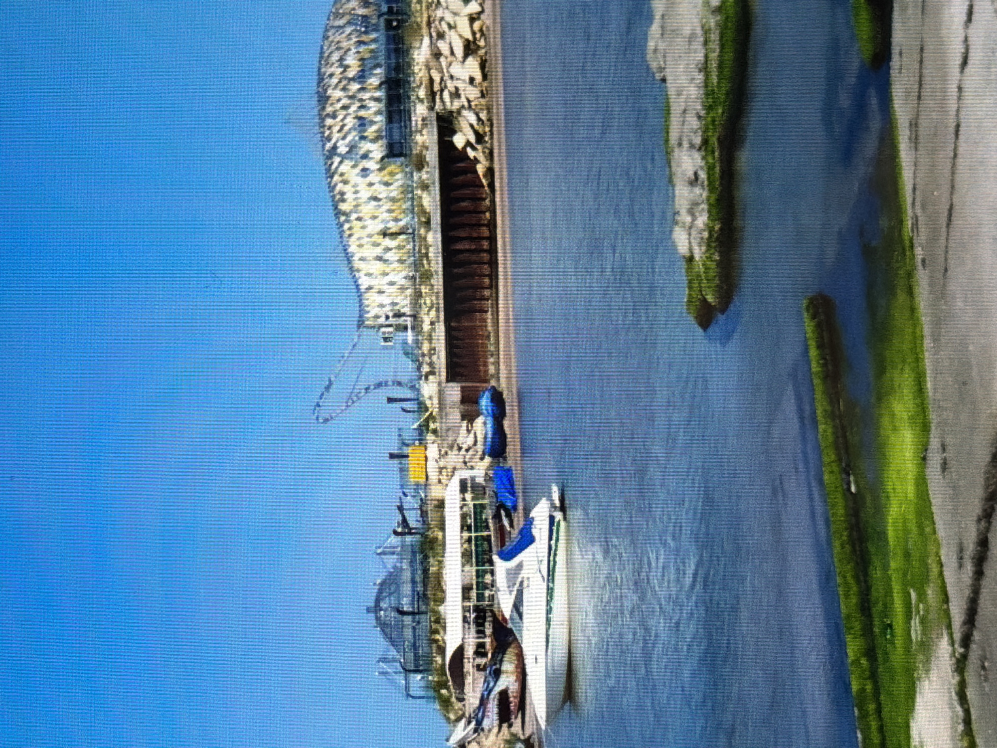 The image depicts a scenic view of a body of water with several boats docked near the shore. In the background, a unique building with a patterned facade, resembling a fish or a scale-covered creature, stands prominently. Adjacent to it are dome-shaped structures and what appears to be part of a rollercoaster or amusement park ride. The water is calm, reflecting the bright blue sky. Green moss or algae covers some of the rocks and the edges of the land. The overall scene suggests a recreational area or a tourist attraction located by the water, possibly in Lopatino, Russia, given the prompt's context, though specific Russian elements are not visually identifiable.