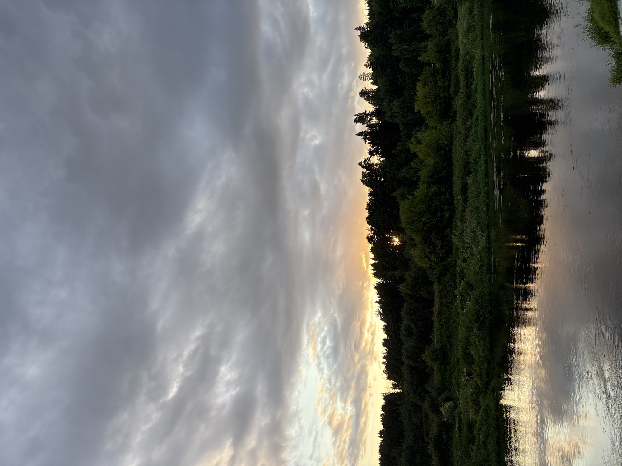 The image shows a serene river scene at dusk in Zvenigorod, Russia. The sky is filled with dramatic, dark clouds, tinged with the warm glow of the setting sun peeking through a gap in the clouds. A dense, dark green forest lines the far bank of the river, with the silhouettes of tall trees visible against the sky. The calm river reflects the sky and the forest, creating a mirror image of the scene. The water's surface is smooth with subtle ripples, indicating minimal current. The vegetation on the riverbanks is lush and verdant, suggesting a natural, undeveloped area. There are no people or man-made structures visible in the frame, contributing to the natural ambiance of the scene.
