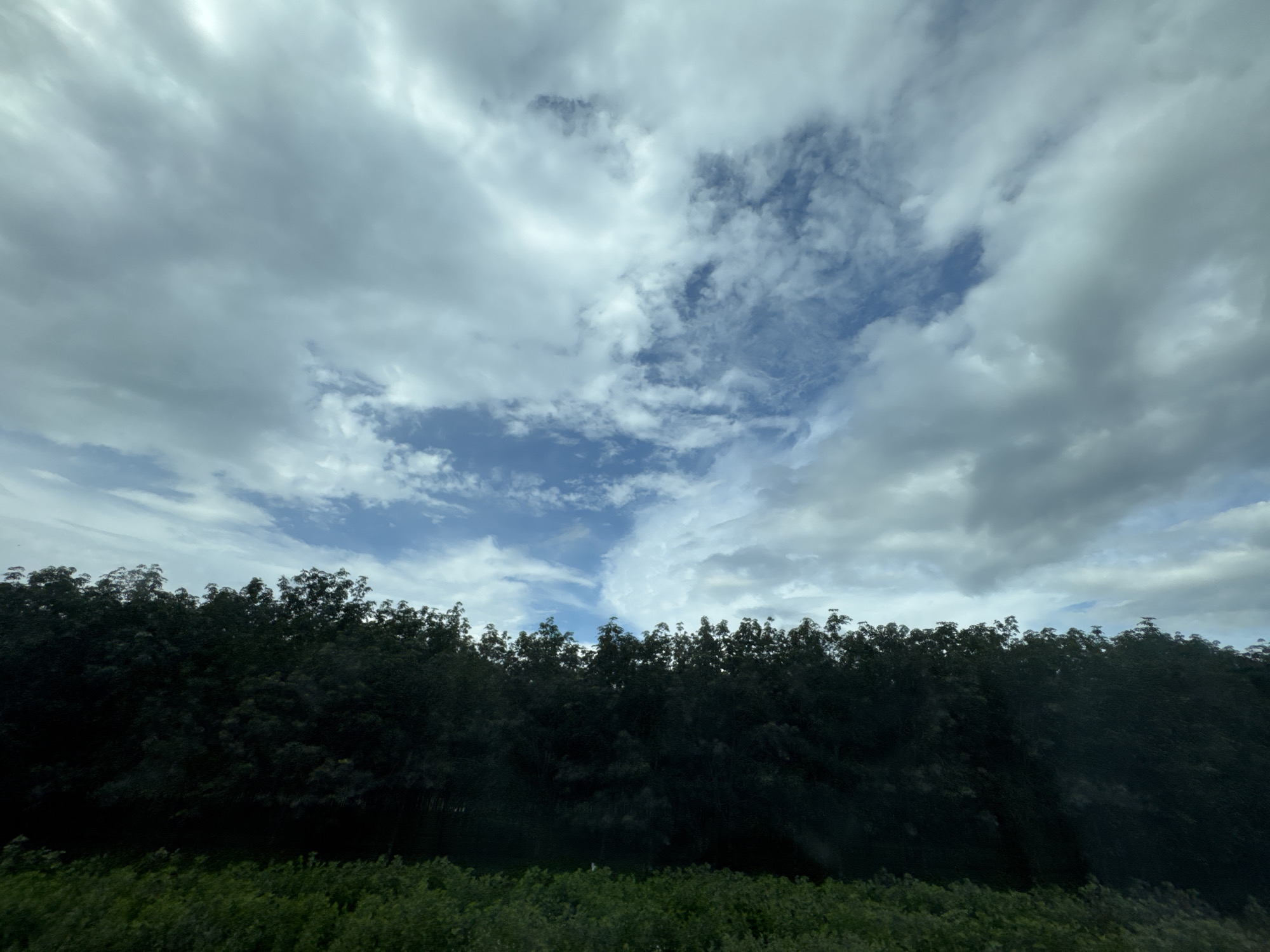 The image depicts a panoramic view of a dense, dark green forest canopy against a sky filled with dramatic, white and gray clouds. A sliver of bright blue sky is visible through a break in the clouds, creating a textured, layered effect. The foreground is characterized by a carpet of shorter green foliage. The overall impression is one of a natural landscape, likely rural or on the outskirts of a populated area, given the extensive forestation. The location is Chư Sê, Vietnam, a region known for its lush vegetation and scenic mountainous terrain. There are no people or man-made structures visible in the image. The scene is static and natural, capturing a moment of a cloudy day over a forest.