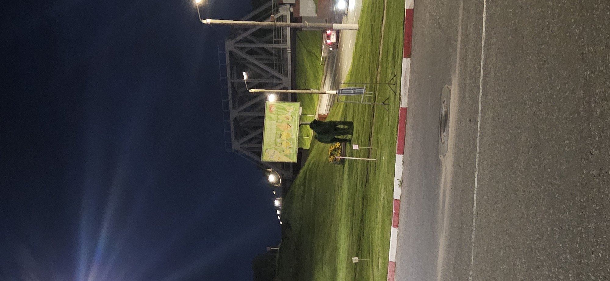 The image captures an outdoor nighttime scene in Vitsebsk, Belarus, featuring a prominent truss bridge in the background. In the foreground, a road with white and red striped curbs is visible. A grassy embankment slopes upwards towards the bridge, adorned with several streetlights casting a glow. On the embankment, a billboard displaying various fruits is positioned. To the left of the billboard, a dark, possibly artificial, topiary sculpture resembling a gorilla stands near a cluster of yellow flowers. Two small white signs are planted in the grass in front of the sculpture. A metal rack with what appears to be clothing hangs on it, situated to the right of the gorilla sculpture. A red car is seen driving on a road that curves behind the embankment, its headlights illuminated. The sky is dark, indicating nighttime.