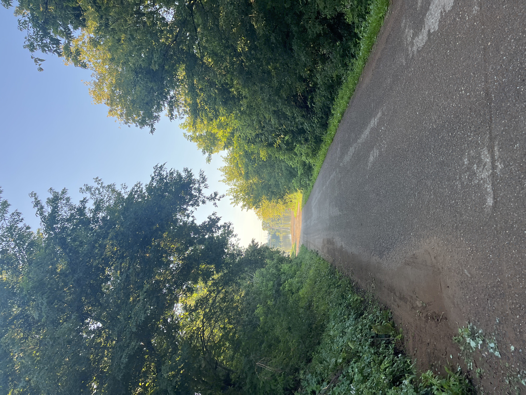 The image depicts a paved rural road disappearing into a sunlit haze at the end of a tunnel of trees. Lush green foliage lines both sides of the road, with a clear blue sky visible above the tree canopy. The scene appears to be a serene, natural landscape, likely in a rural or semi-rural area. There are no people or animals visible, and the road itself is empty. The atmosphere is calm and peaceful, with the sunlight creating a warm glow in the distance.