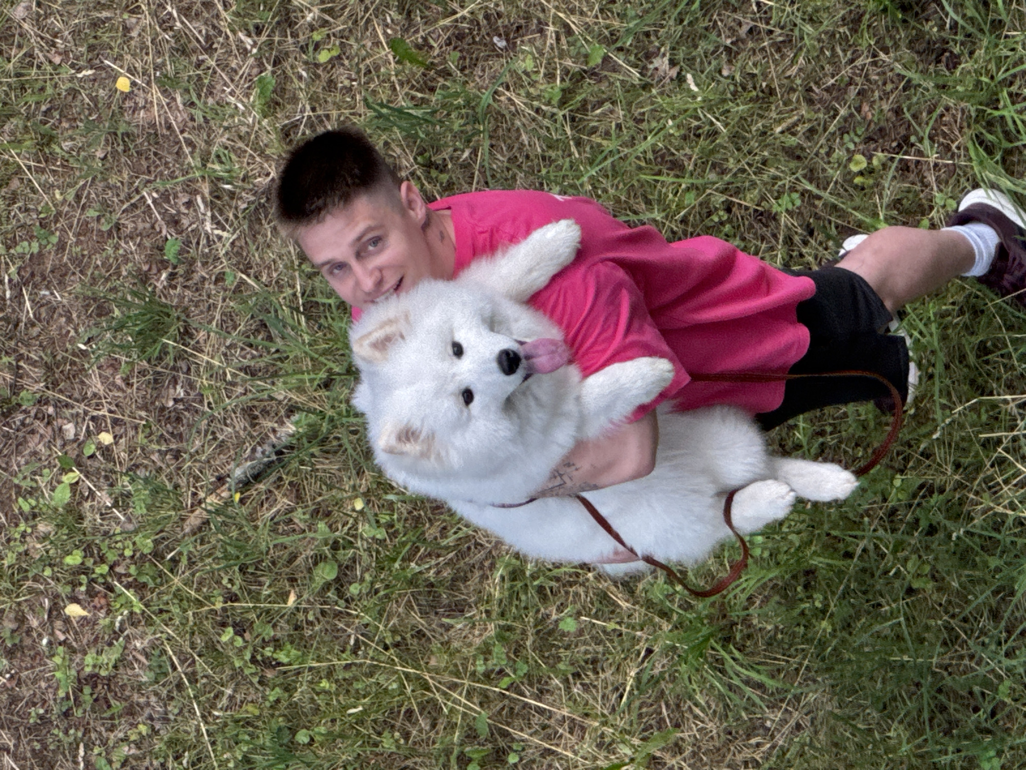 An overhead, medium shot captures a person in a bright pink shirt and black shorts holding a white Samoyed dog. The person, with short, dark hair and visible tattoos on their arm, is looking up and to the right. Their mouth is open, as if speaking or laughing. The dog is held with its front paws resting on the person's shoulder and its hind legs dangling. The dog's tongue is out and it has dark eyes and a black nose. The background consists of a grassy area with some dry leaves and twigs scattered about. The scene appears to be outdoors, possibly in a park or a natural setting. The location is not explicitly visible in the image, and therefore cannot be determined.