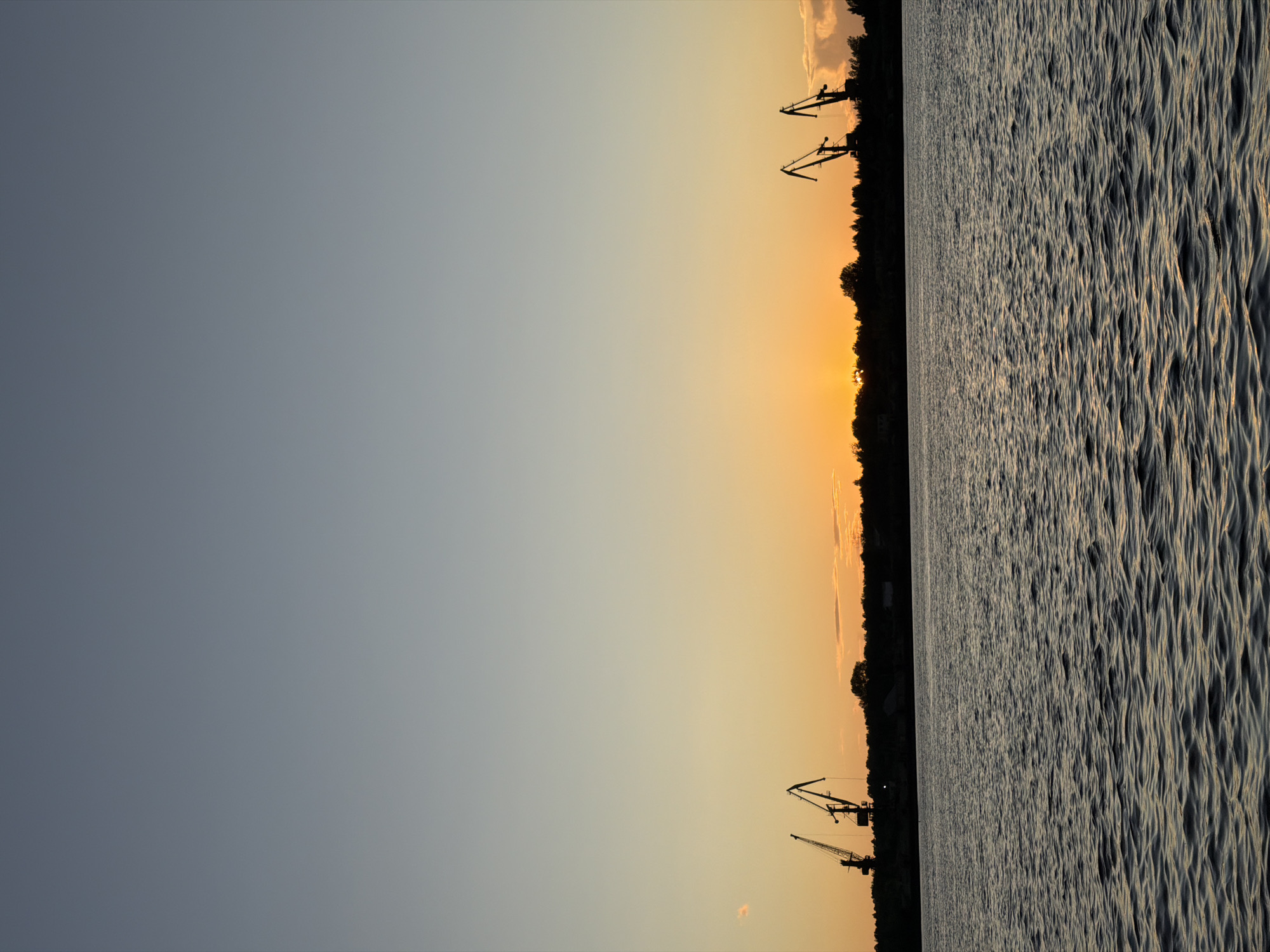 An outdoor, low-angle, vertical shot captures a sunset over a body of water. The sky transitions from a clear pale blue at the top to a gradient of soft orange and yellow near the horizon. Silhouetted against the sunset are a line of trees and two large cranes, positioned to the left and right of center. The cranes appear to be industrial, with distinct arm structures. The foreground is dominated by the dark, rippling surface of the water, reflecting the muted colors of the sky. The scene is likely a waterfront area in or near Noviy, Russia, given the presence of industrial cranes and a large expanse of water consistent with a river or bay. There are no people visible in the image.