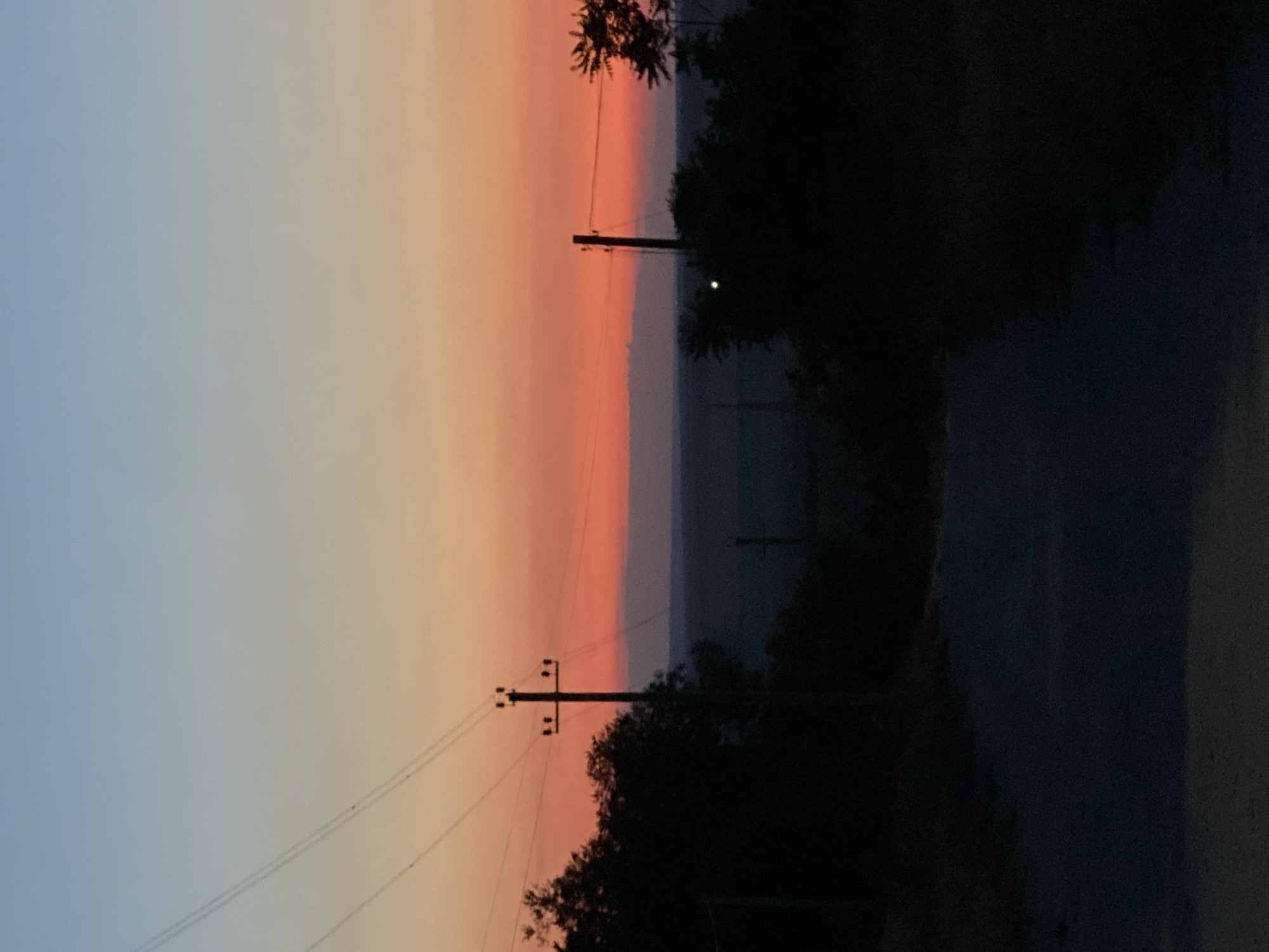This is a vertical, eye-level shot of a road leading into a silhouette of trees against a sunset sky. The sky is a gradient of blues and oranges, with a thin band of pink clouds on the horizon. Two utility poles with wires are visible on the left side of the frame. The foreground is dominated by the dark silhouette of trees and a road. The overall impression is one of a rural evening in Cairaclia, Moldova.