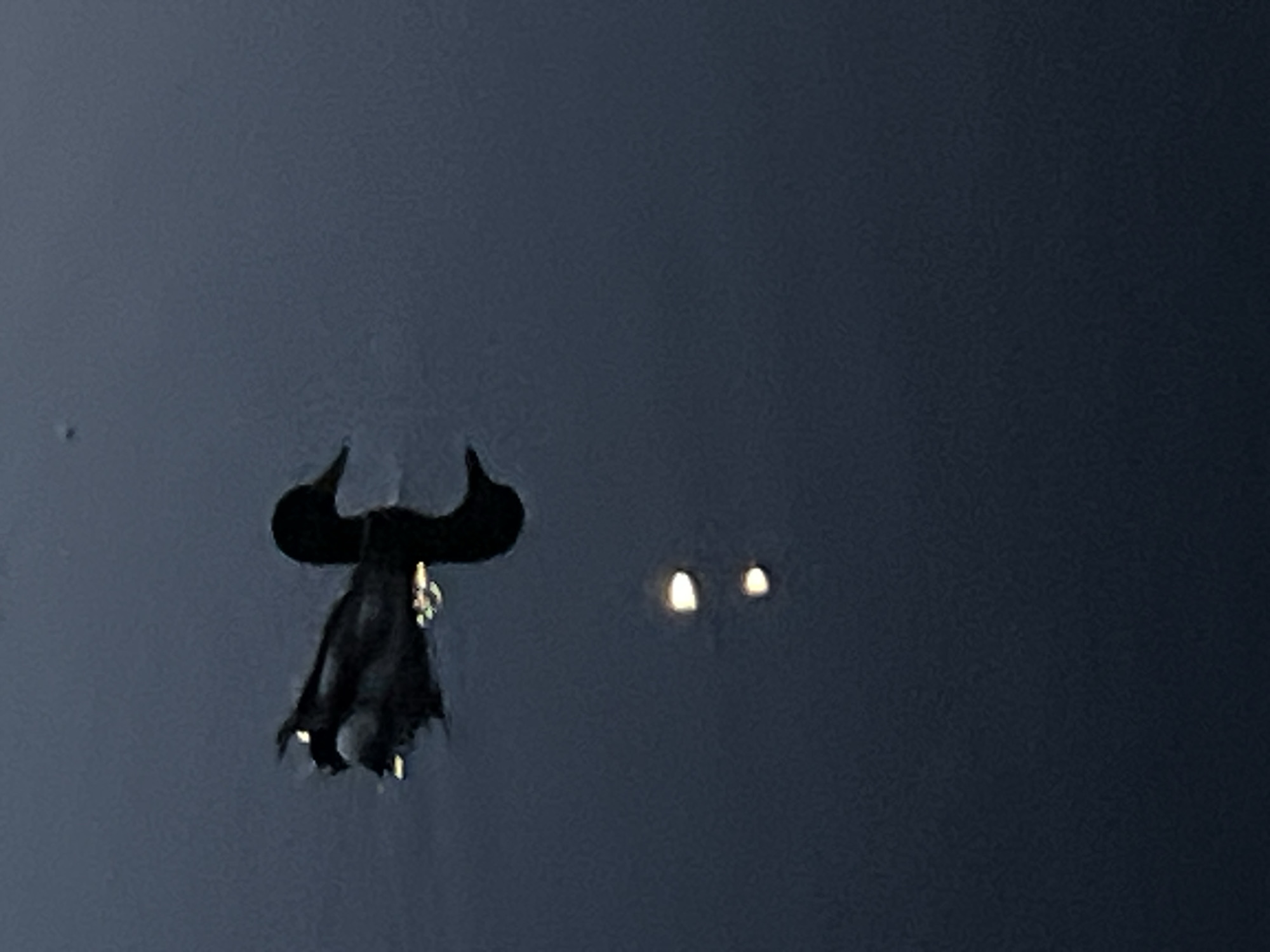 A lone duck swims in dark, still water, its silhouette sharply defined against the muted tones of the evening or night. The duck is positioned slightly left of center, facing right, with its head tilted slightly downwards. Its reflection is visible directly below, elongated and slightly distorted by ripples. Two bright, circular reflections, possibly from artificial lights or celestial bodies, appear further down in the water, below the duck's reflection. The overall scene evokes a sense of tranquility and solitude in a natural, aquatic setting. The location is not specified in the image.