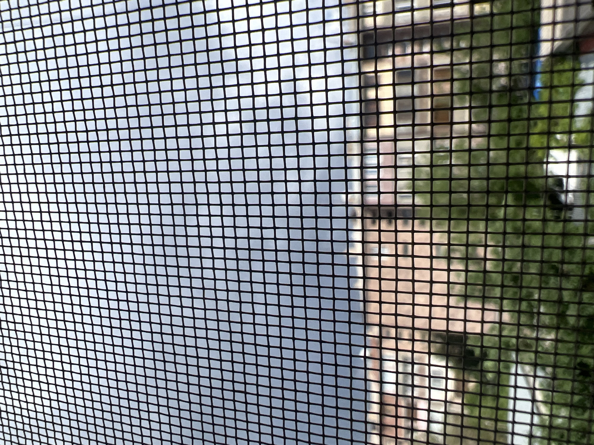 The image shows a view through a black window screen. The background consists of a cloudy sky on the left and a blurry view of buildings and green foliage on the right. The buildings appear to be multi-story with light-colored facades and windows. The scene seems to be taken during daylight. Yerevan, Armenia is not discernible from the image.