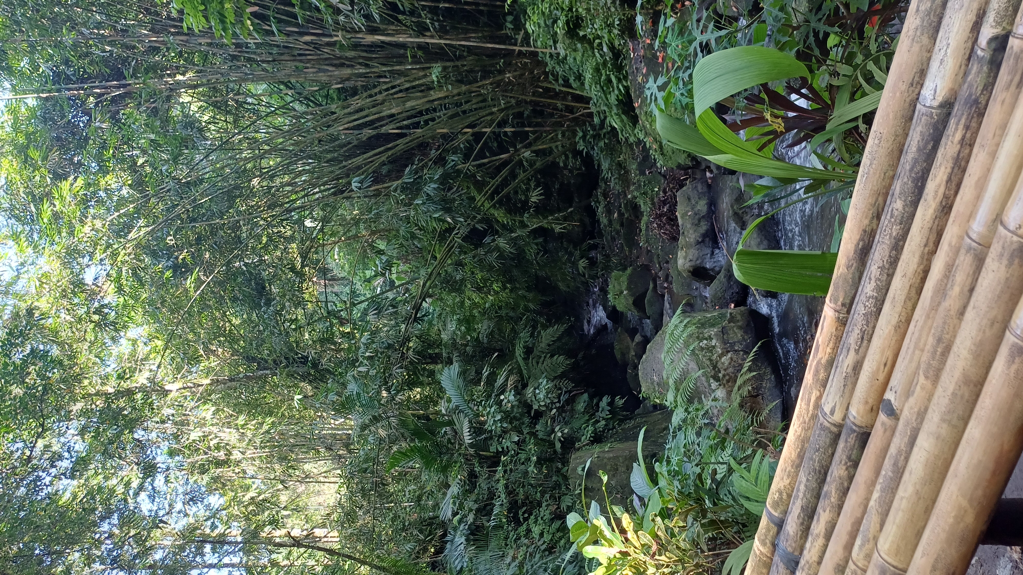The image captures a lush, tropical scene in Tegallalang, Indonesia. A narrow stream flows through a dense thicket of greenery, cascading over moss-covered rocks. Bamboo stalks are prominent in the background, forming a dense canopy overhead. The foreground features a bamboo railing, constructed from light-colored poles. Various plants and ferns flourish near the stream, adding to the verdant ambiance.