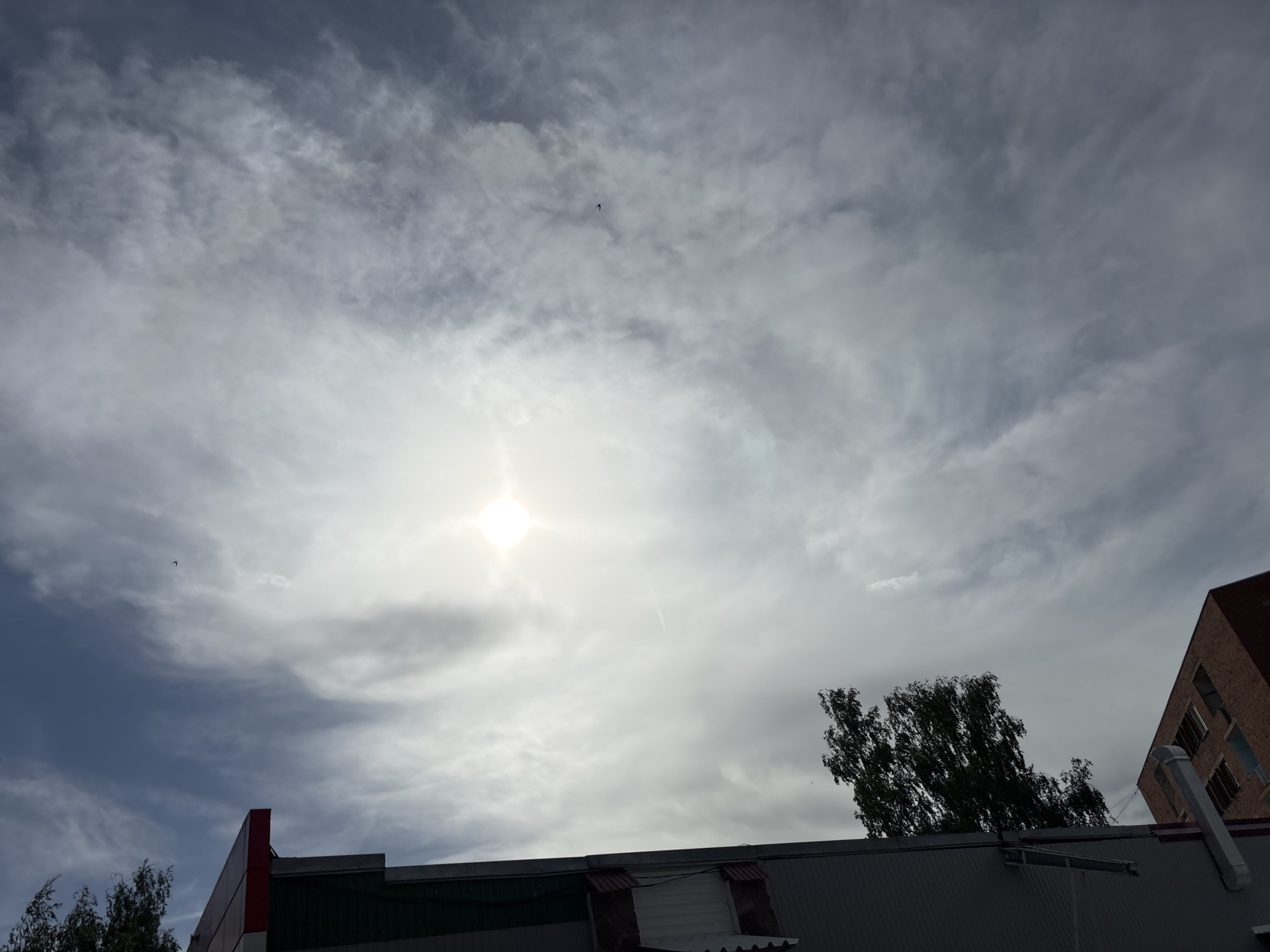 The image shows a cloudy sky above a building in Noviy, Russia. The sun is visible through the clouds. The building has a grey roof, with glimpses of red and green paint. A tree and a brick building are also visible. A small bird is flying in the sky.