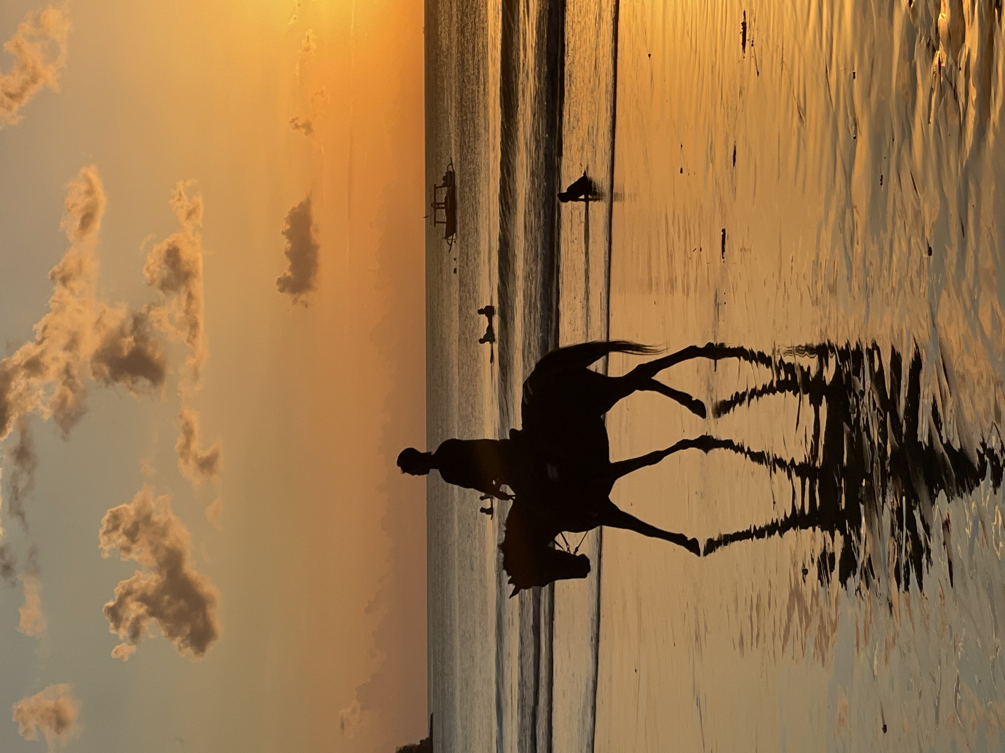 A silhouette of a person on horseback rides along a wet beach at sunset. The horse is moving from left to right in the frame, its legs in motion. The rider is seated upright on the horse. The wet sand reflects the warm orange and yellow hues of the sunset, creating a shimmering surface. In the background, the ocean is calm with gentle waves rolling in. A few people are visible in the water, some lying on surfboards and one child sitting near the shore. A small boat is moored further out in the sea. The sky is filled with scattered clouds, tinged with the colors of the setting sun. The overall scene captures a serene moment on Kuta Selatan beach, Indonesia, during twilight.