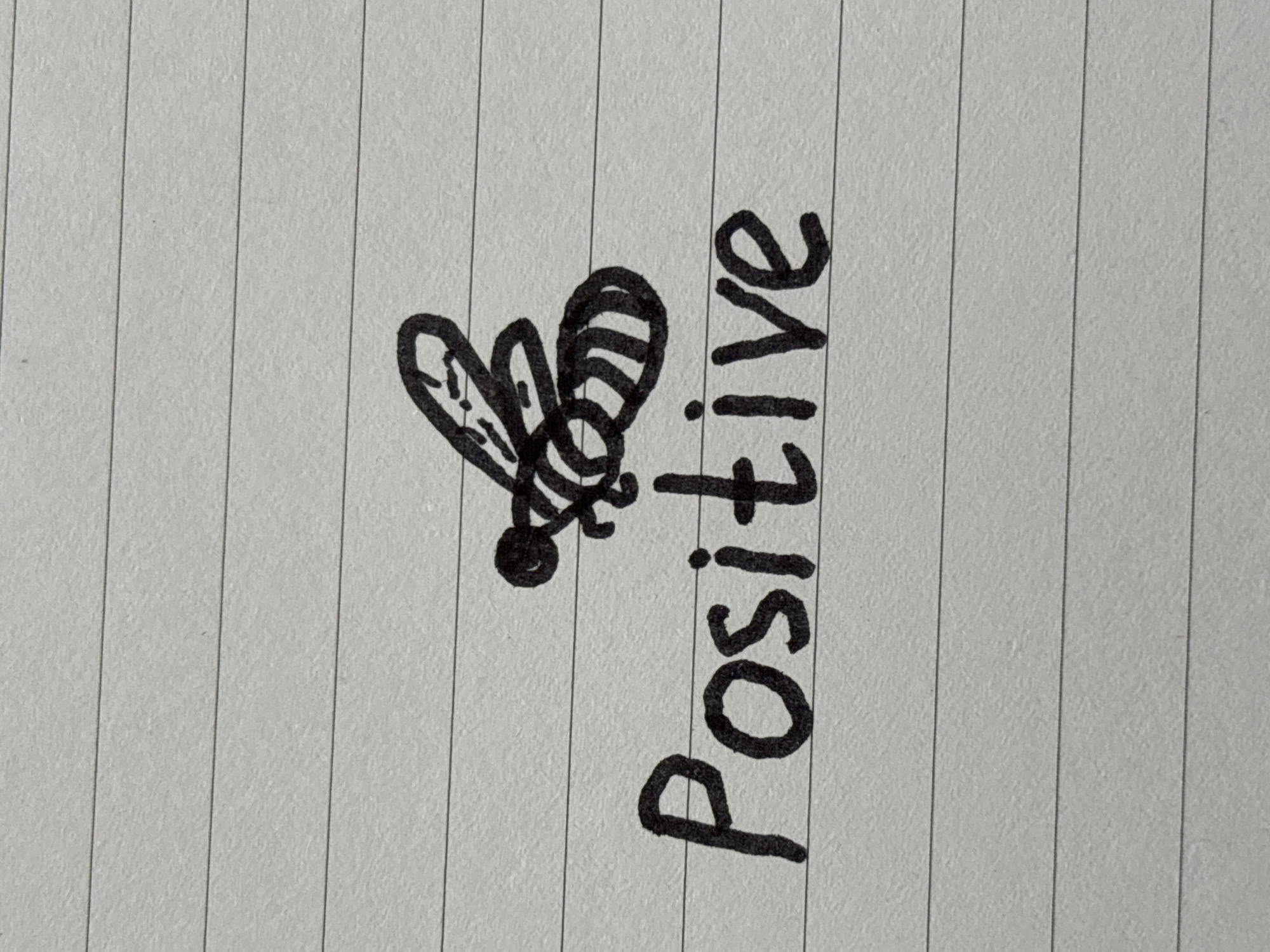 A black ink drawing of a bee is positioned above the word "Positive" written in large, bold, black ink letters. The drawing and text are on a piece of lined paper. There is no indication of a specific location in Saint Petersburg, Russia, or any other geographical context.