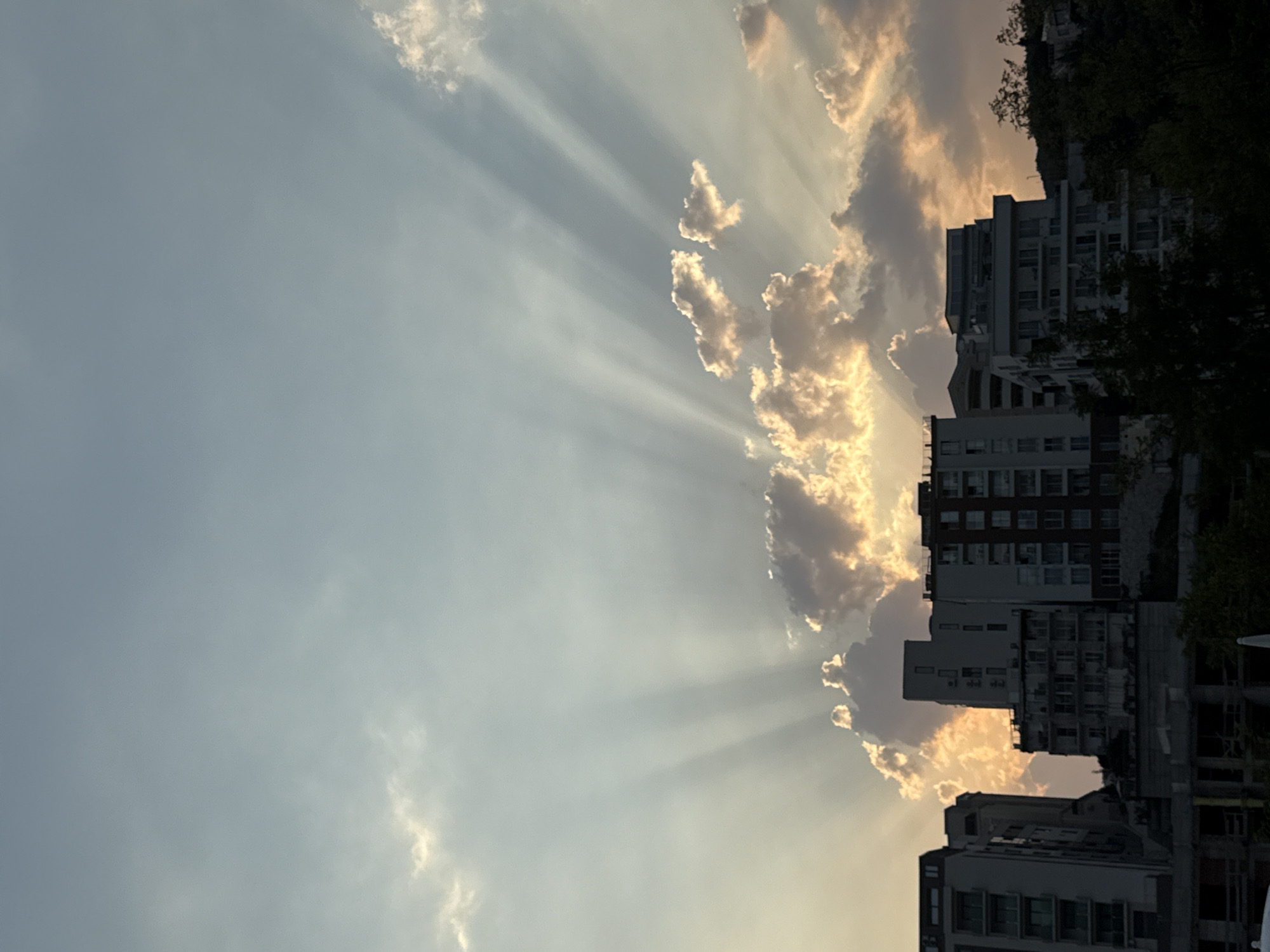 The image captures a sky filled with crepuscular rays emanating from behind clouds, illuminating them with a golden hue. Below the sky, a silhouetted cityscape of modern buildings is visible, with trees and foliage in the foreground. The architecture suggests an urban setting with multi-story residential or commercial structures. The lighting indicates either sunrise or sunset. The location is identified as Boreti, Montenegro. No people or specific actions are depicted.