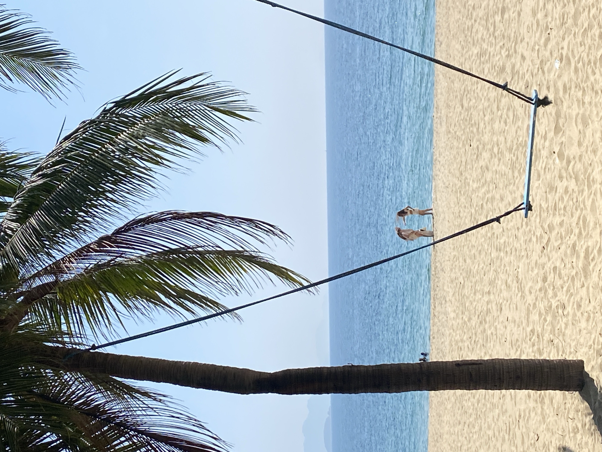 The image depicts a tropical beach scene in Nha Trang, Vietnam, dominated by a large palm tree on the left. The foreground features a sandy beach with a blue plank swing suspended by ropes, partially obscuring the view of the ocean. In the mid-ground, two women are standing on the beach near the waterline, with one appearing to hold a white object. In the background, the calm blue ocean stretches to the horizon, with faint mountains visible in the distance. The sky is clear and blue. The overall atmosphere is one of a serene beach day.