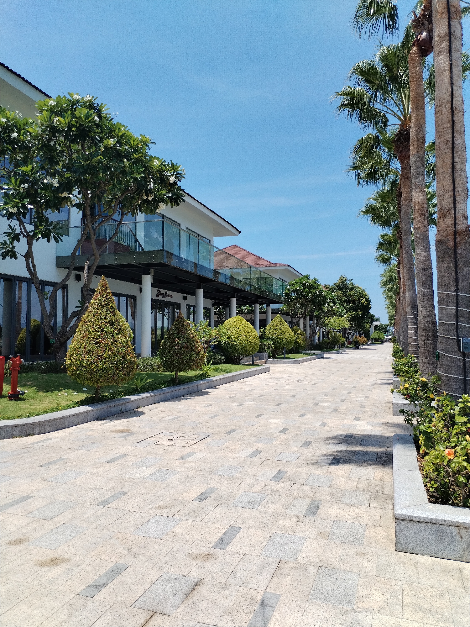 The image depicts a paved walkway lined with manicured vegetation leading towards a building with a modern architectural style. The walkway is constructed from light-colored rectangular pavers with darker inlays. On the left side, meticulously shaped shrubs and trees are planted in a green lawn bordering a two-story building with white exterior walls. The building features a glass-paneled balcony and a covered entrance area with pillars. Signage is visible above the entrance, though specific text is illegible. On the right side, a row of tall palm trees lines the walkway. Small shrubs with yellow flowers are planted at the base of the trees. The scene is bathed in bright daylight with a clear blue sky. The image is taken in Bac Nha Trang Ward, Vietnam.