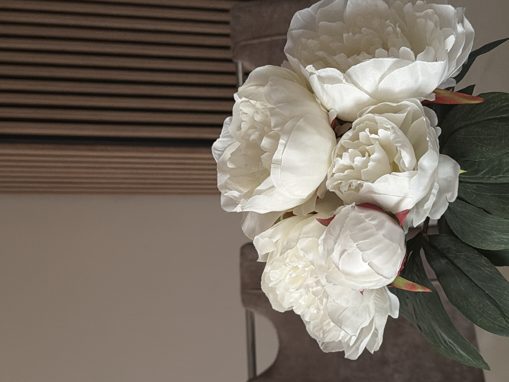 An indoor scene in Stara Zagora, Bulgaria, depicts a bouquet of white artificial peonies in the foreground, occupying the lower two-thirds of the image. The bouquet comprises approximately seven to nine prominent white flower heads, exhibiting layered, fabric petals. Dark green artificial leaves with some instances of reddish-orange tips or bases are visible beneath and between the blossoms. The background consists of a plain, light beige wall on the left side and a vertical slatted brown wall panel on the right side. Centered horizontally behind the flowers, two curved, upholstered furniture backs in a taupe or light brown color are partially visible and out of focus. The scene is illuminated by diffuse ambient light, with no visible shadows or direct light sources. There are no people, explicit actions, or interactions depicted.
