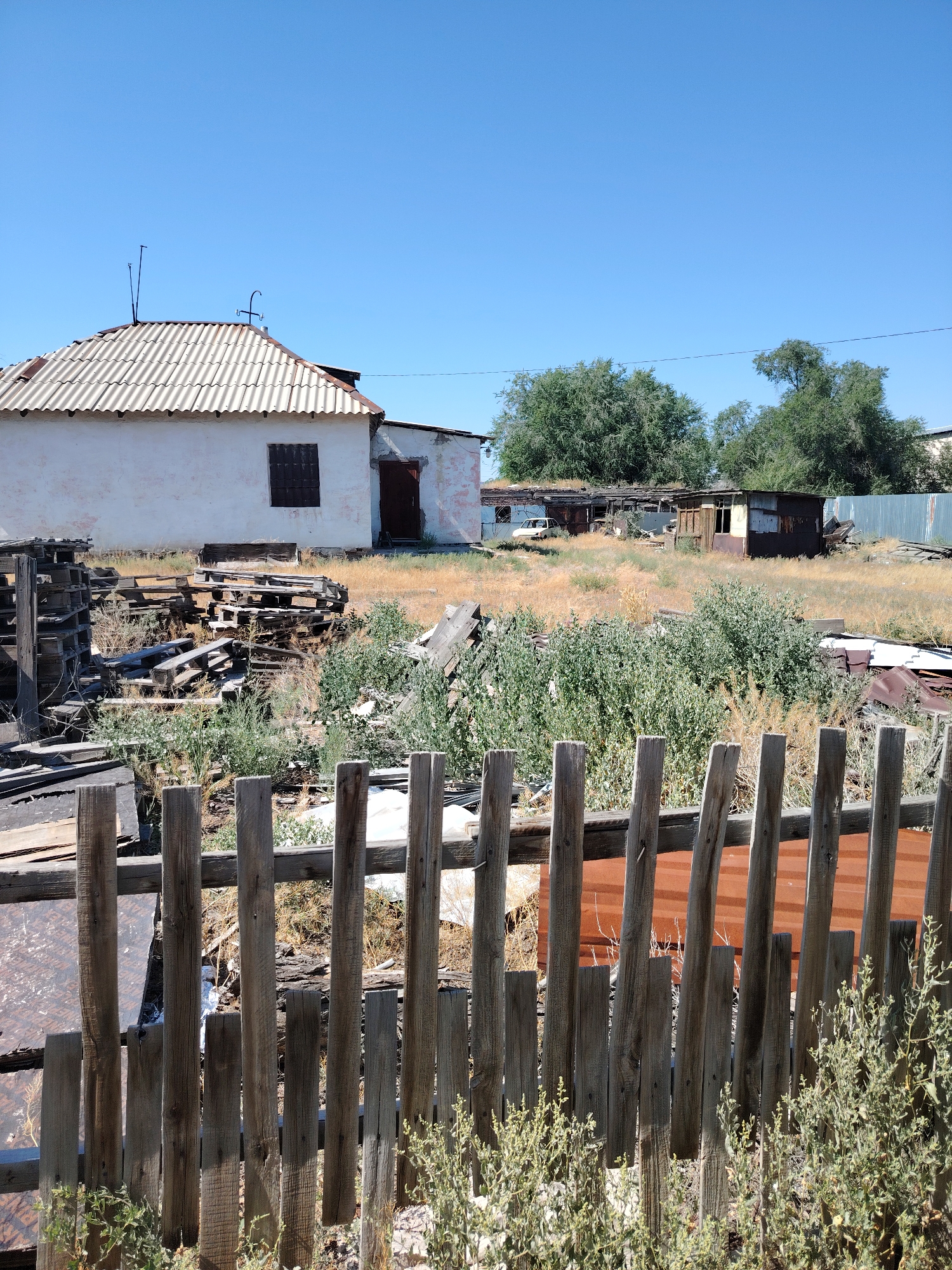 The image depicts an outdoor scene in a rural or dilapidated urban environment, possibly in the city of Torangylyk, Kazakhstan, under a clear blue sky. In the foreground, a weathered, wooden fence with vertical slats runs across the frame. Beyond the fence, a white building with a corrugated roof and dark-shuttered window stands prominently. A pile of wooden pallets and planks is stacked in front of the building. The ground is covered with dry, yellow grass and green shrubs. Further in the background, there are several other dilapidated structures, some appearing to be sheds or makeshift dwellings with rusted corrugated metal siding. A white car is visible behind some of these structures. Trees are scattered throughout the scene, with denser foliage towards the rear. The overall impression is one of disuse and decay.