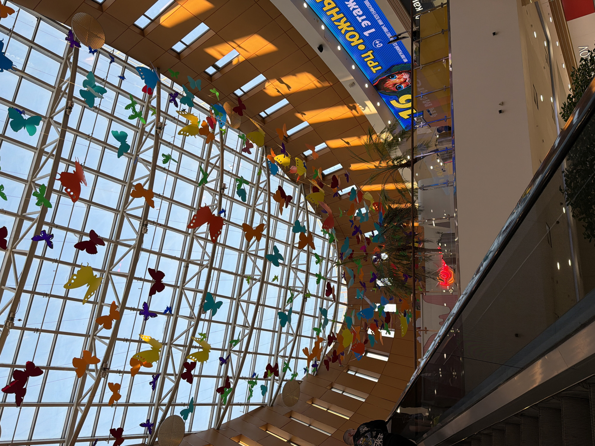 This media file shows an interior view of a large, modern shopping mall, likely taken from an escalator or a mezzanine level, looking upwards. The most prominent feature is a large, multi-paned glass ceiling, allowing natural light to filter in. Hanging from the ceiling are numerous colorful, cutout butterflies, suspended by thin wires, creating a whimsical and festive atmosphere. These butterflies are of various colors including red, orange, yellow, green, blue, and purple.
The architecture of the mall is visible, with exposed wooden beams and metal structural elements supporting the glass roof. Shadows from the ceiling structure are cast across the wooden panels, indicating the presence of sunlight. In the background, a large digital screen displays bright blue text and a cartoonish image of a face. Partially visible text on this screen reads "ТРЦ «ЮЖНЬ» 1 этаж" and "IN MONT", which are likely identifying the shopping center and its floor level, possibly in a Russian-speaking region.
There are also indications of other mall features like escalators, glass railings, and greenery, suggesting a bustling commercial environment. A palm tree is visible on the right side, adding to the indoor tropical feel. The lighting suggests it could be daytime, with the sunlight illuminating the space. One person is visible at the bottom right of the image, looking upwards, implying they are a visitor to the mall. The overall mood is bright, cheerful, and airy, enhanced by the colorful butterfly decorations.
