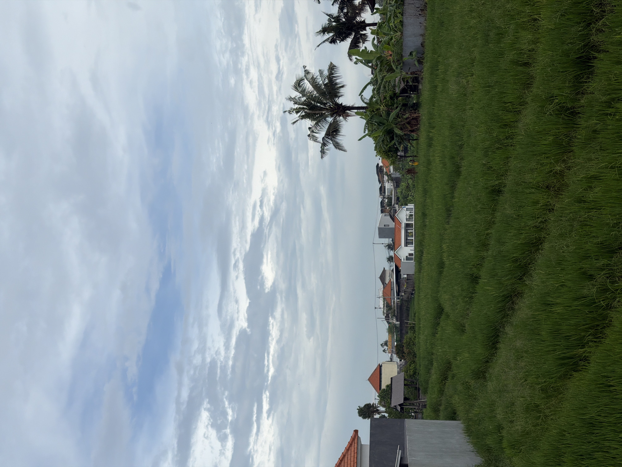 The image captures a vertical view of a landscape. On the right side of the frame is a field of tall green grass. Bordering the field are trees, including palm trees, and other vegetation. In the background are houses, some with red tile roofs. Above, the sky is predominantly covered with white and grey clouds with patches of blue peeking through. The photograph appears to be taken in North Kuta, Indonesia, as identifiable by the architectural style and landscape.