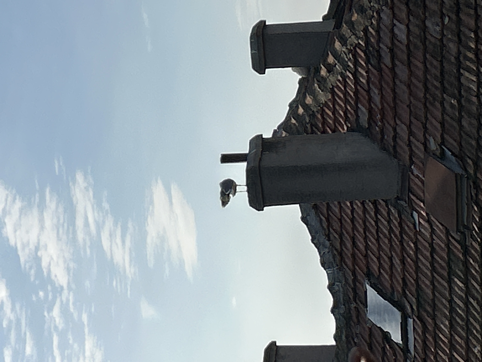 A low-angle, daylight shot shows a section of a building's roof with red tiles and several chimney stacks. Two birds are perched on the horizontal metal bar extending from the middle chimney stack. The sky is light blue with scattered white clouds. There is no indication of the location within the city of Tsarevo, Bulgaria.