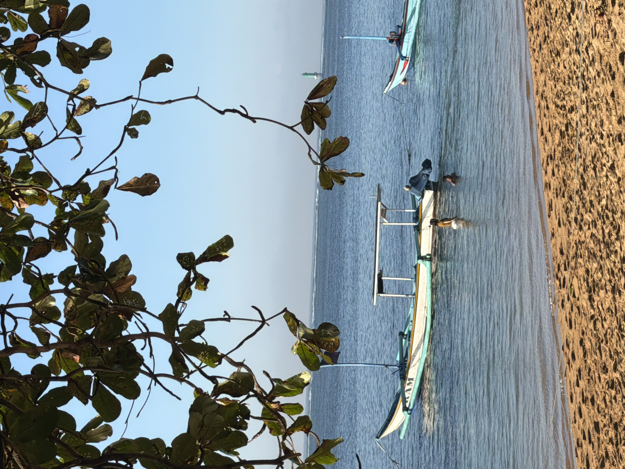 The image depicts a tranquil beach scene, likely in Denpasar, Indonesia, with the ocean in the background. The foreground is a sandy beach with visible footprints. Two traditional Indonesian fishing boats are anchored in the calm, blue water. One boat, closer to the shore, is white with teal and yellow accents, and has the letters "KAM" visible on its side. It has a small canopy supported by poles and a visible outboard motor. The other boat, further out, is primarily blue with a red stripe along its hull. In the water between the boats, two individuals, appearing to be adults, are partially submerged, suggesting they are swimming or wading. Overhead, the branches of a tree with green and brown leaves hang into the frame, partially obscuring the clear blue sky. In the distance, a green lighthouse or beacon is visible on the horizon, indicating a coastline or maritime marker. The lighting suggests it is daytime, possibly morning or late afternoon, given the soft quality of the light.