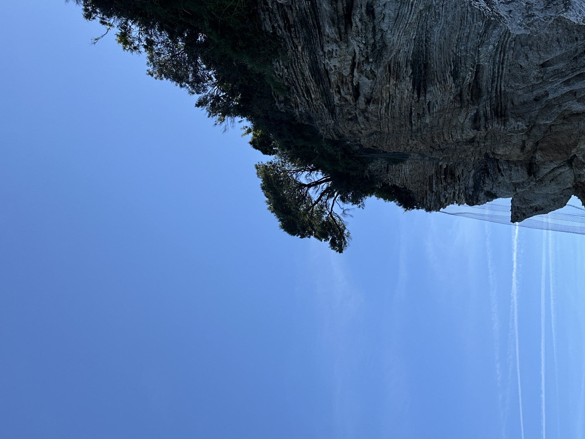 A low-angle shot of a sheer, rocky cliff face with sparse vegetation growing along the top edge, contrasted against a clear blue sky. The cliff face appears layered and textured. In the lower right, there is a section of netting, possibly for safety. Some trees are growing from the cliff. The sky is mostly clear except for a few contrails on the right. The image was taken in Budva, Montenegro.