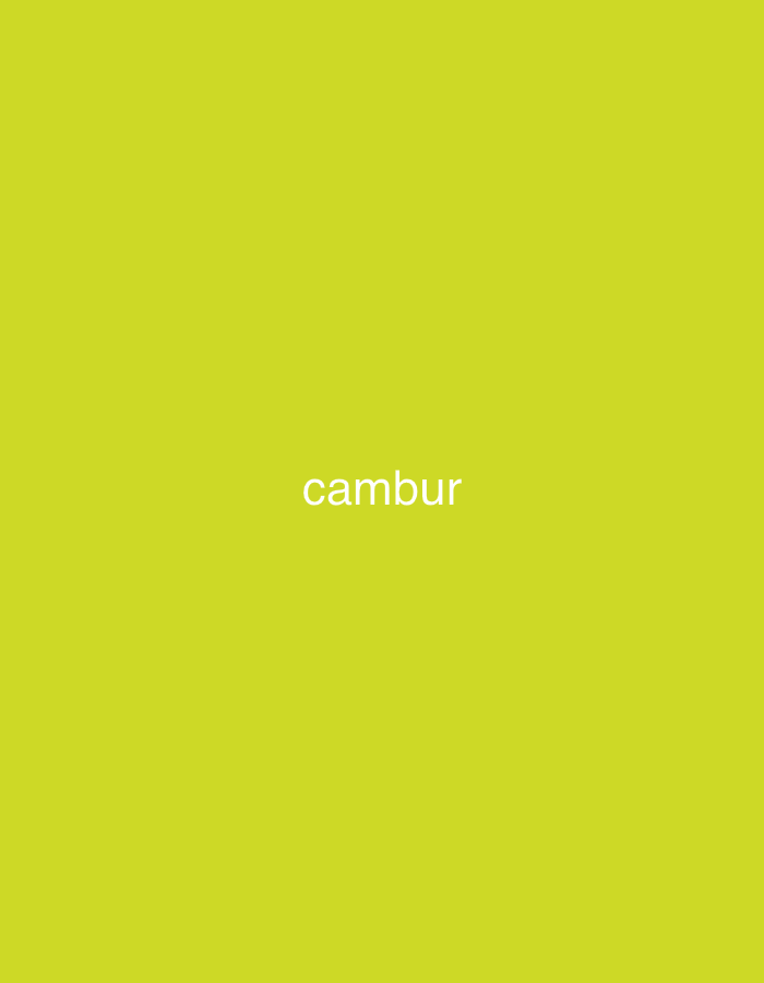 The image displays a solid, uniform yellowish-green background. Centered horizontally and vertically on this background is the word "cambur," written in white, lowercase, sans-serif typography. There are no other discernible subjects such as people or objects, and no activity or event is depicted. The scene consists solely of the vibrant background color and the text. There are no visible cues for time of day, weather, or specific location within the image itself.